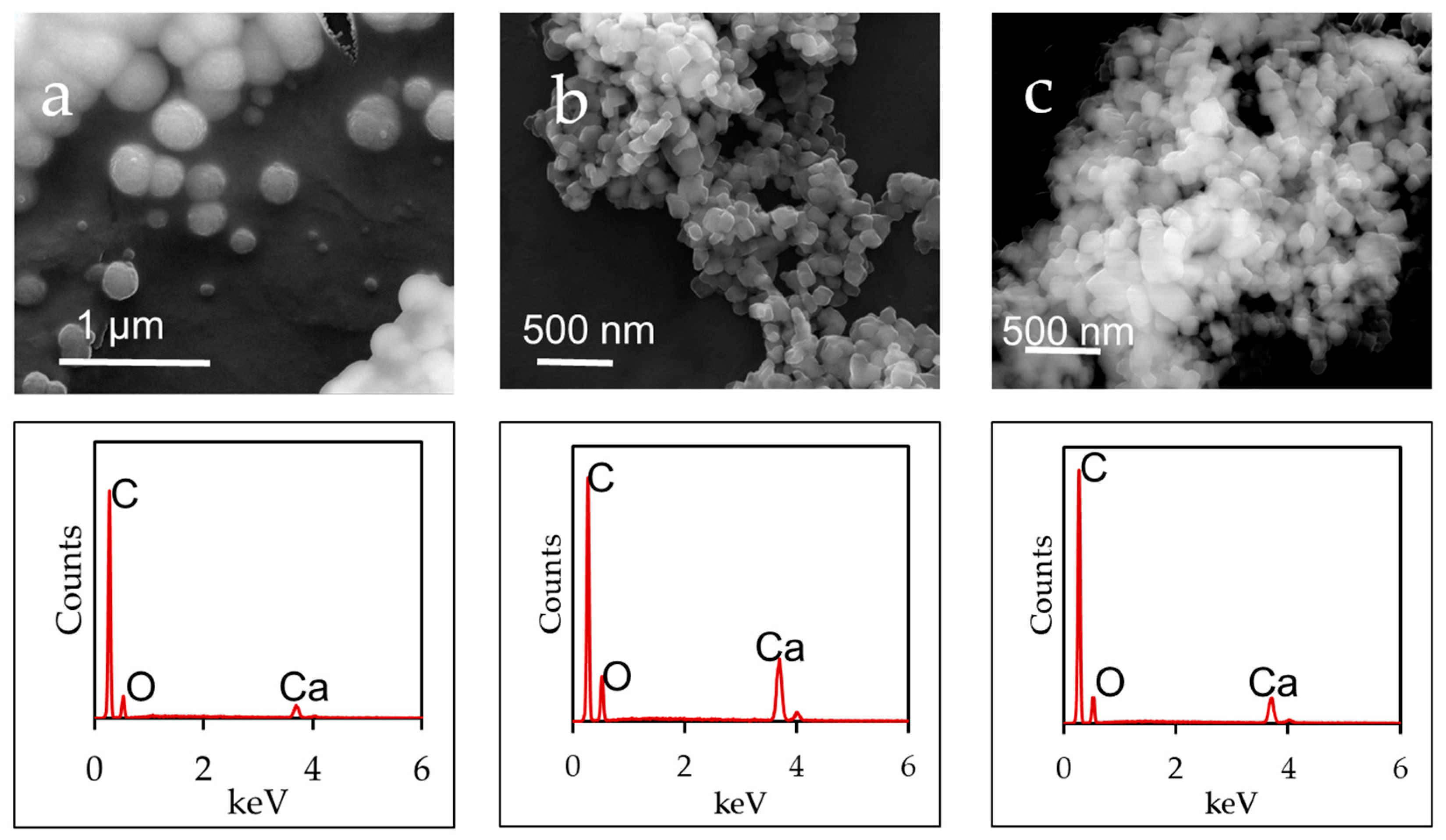 Applnano 06 00008 g009