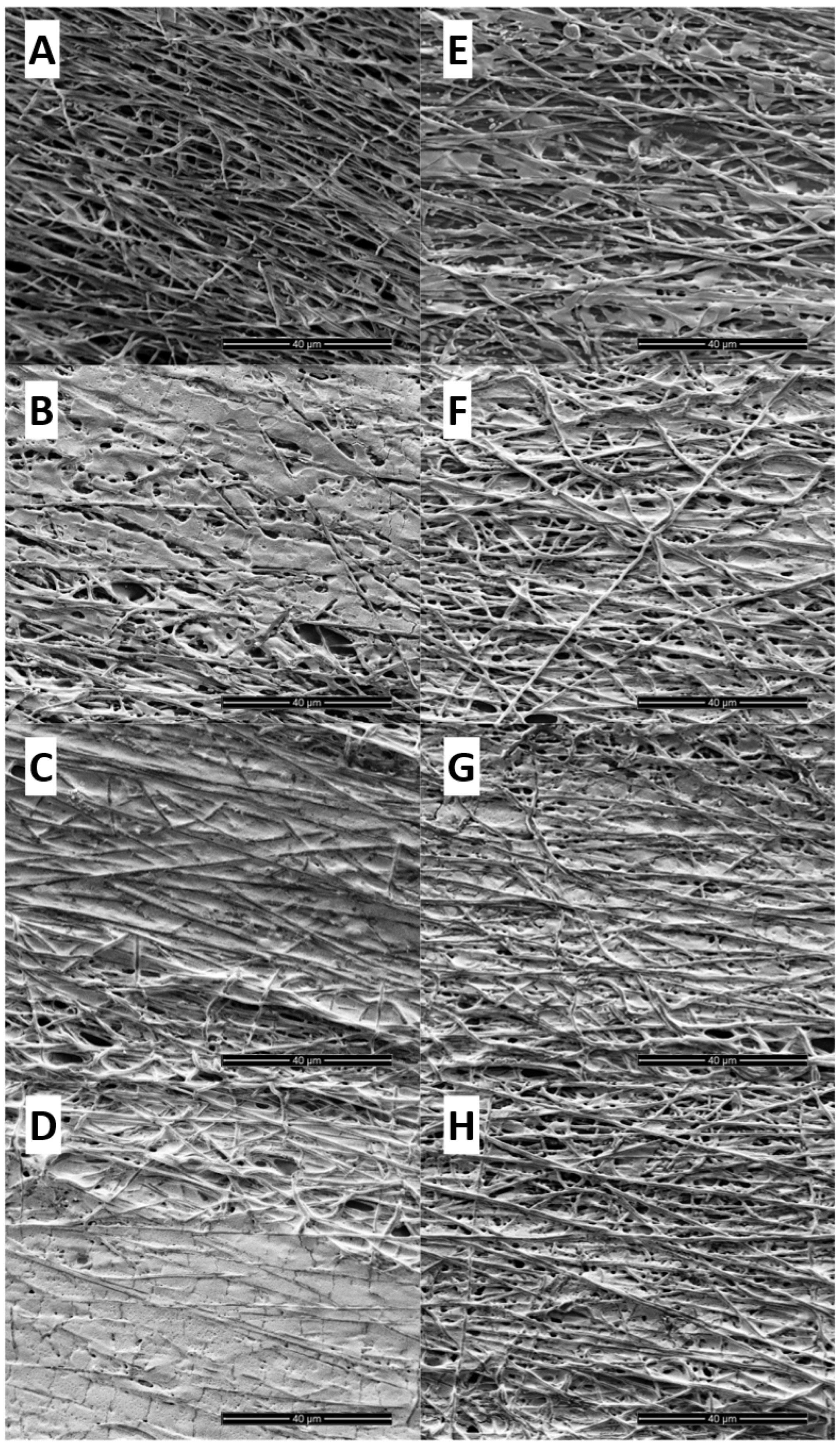 Applnano 06 00010 g005
