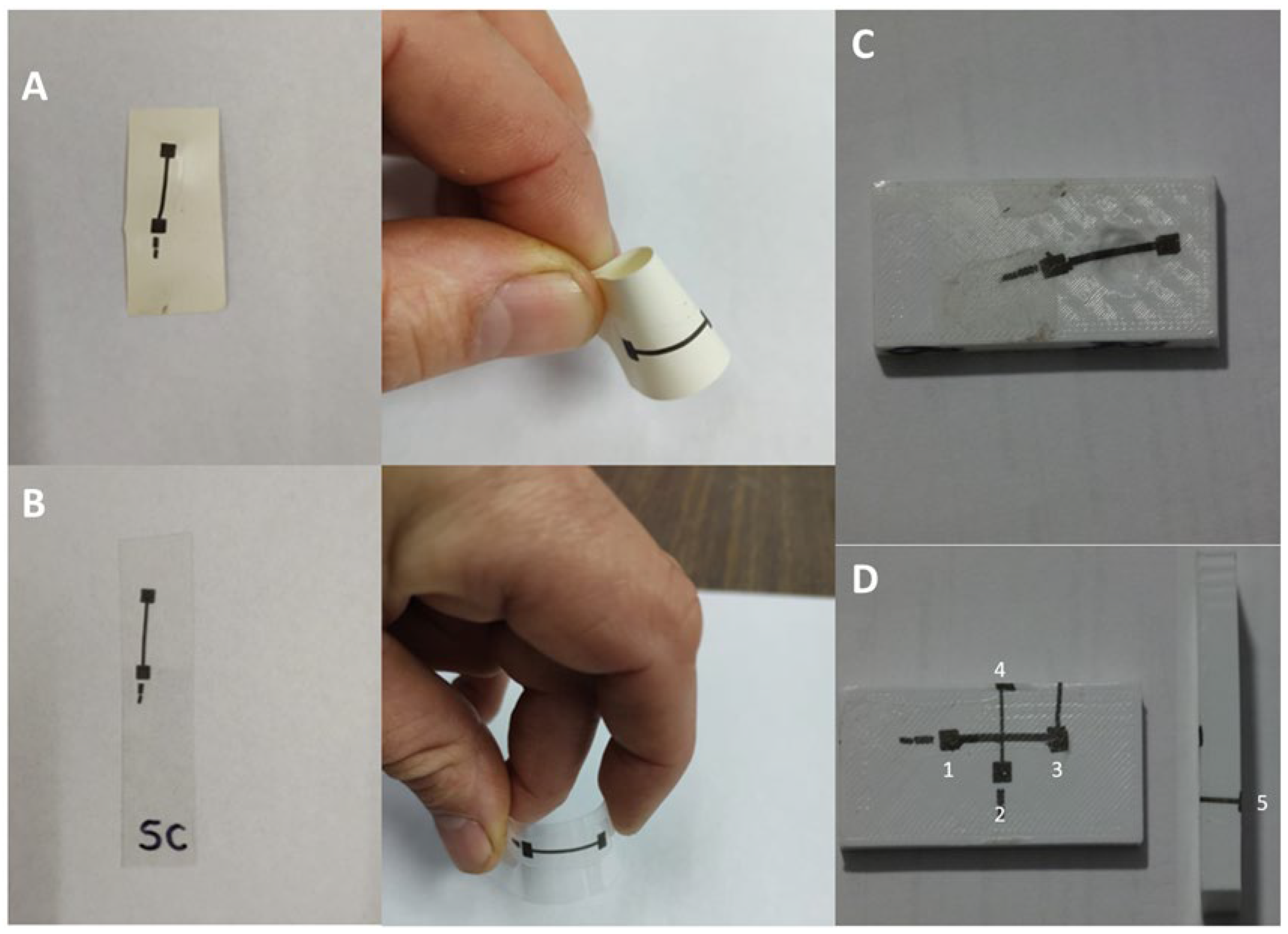 Applnano 06 00010 g012