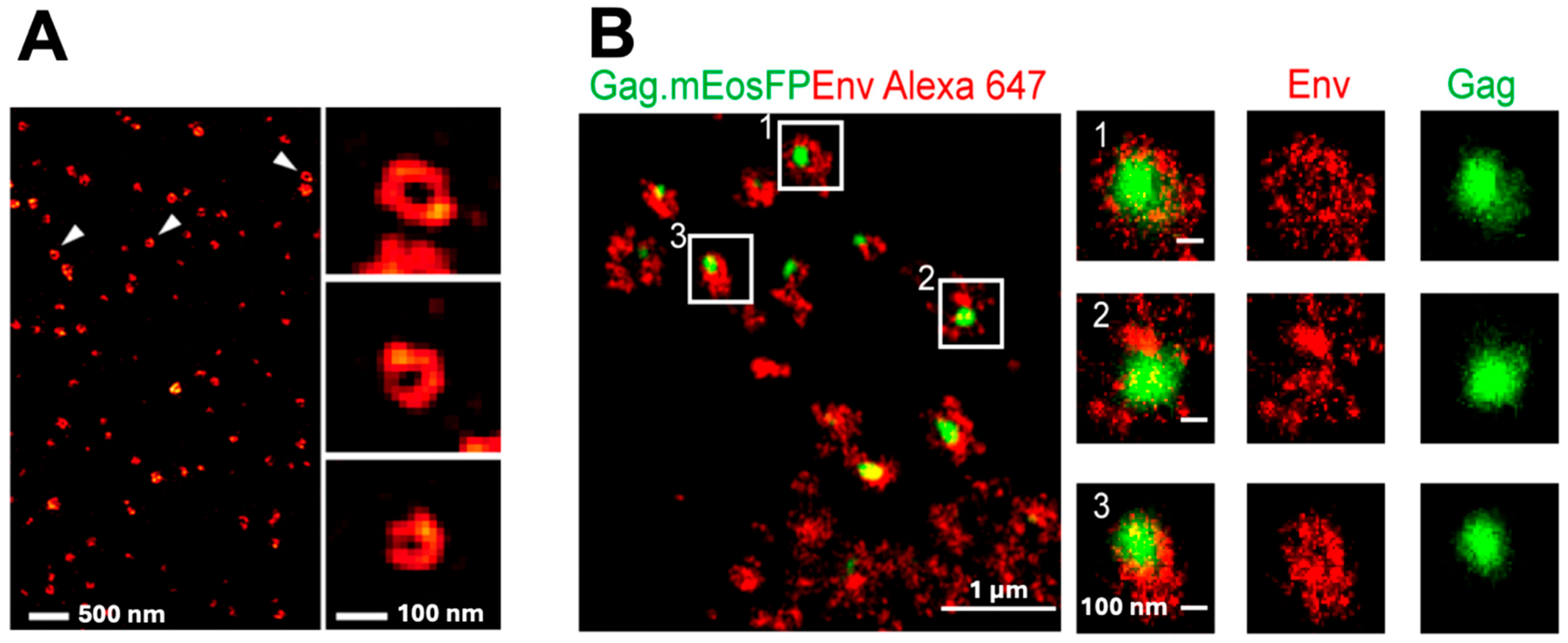 Applnano 06 00013 g002