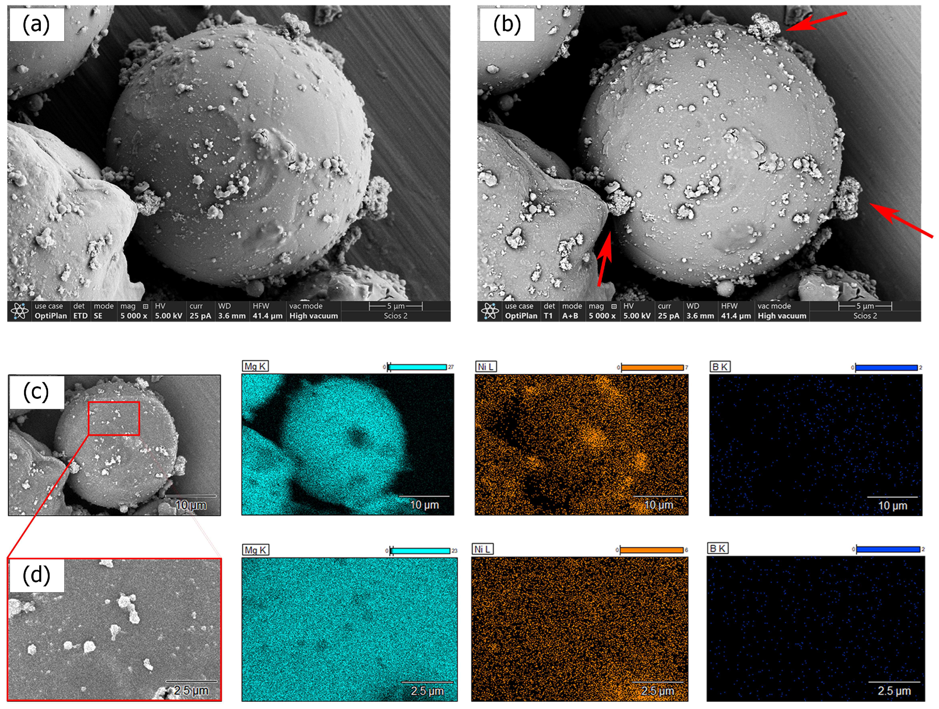 Applnano 06 00016 g003