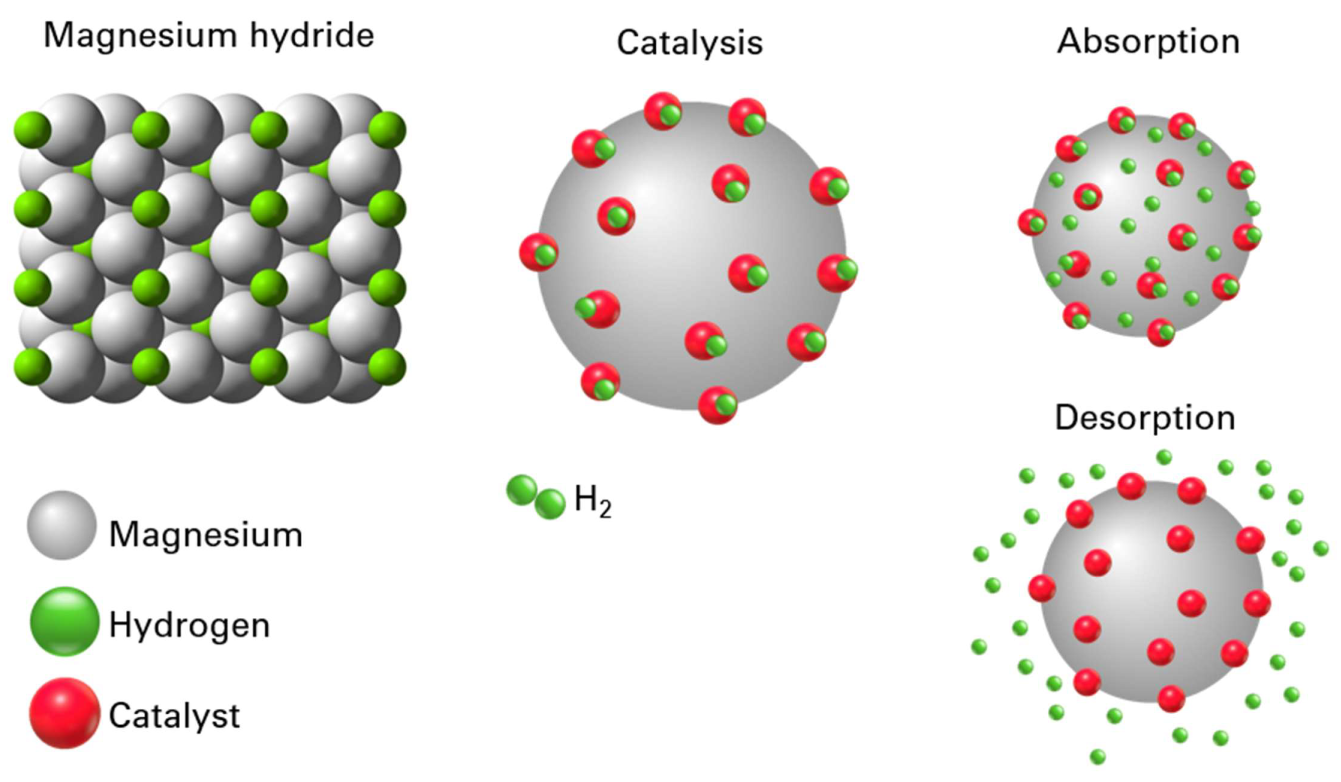 Applnano 06 00016 g012