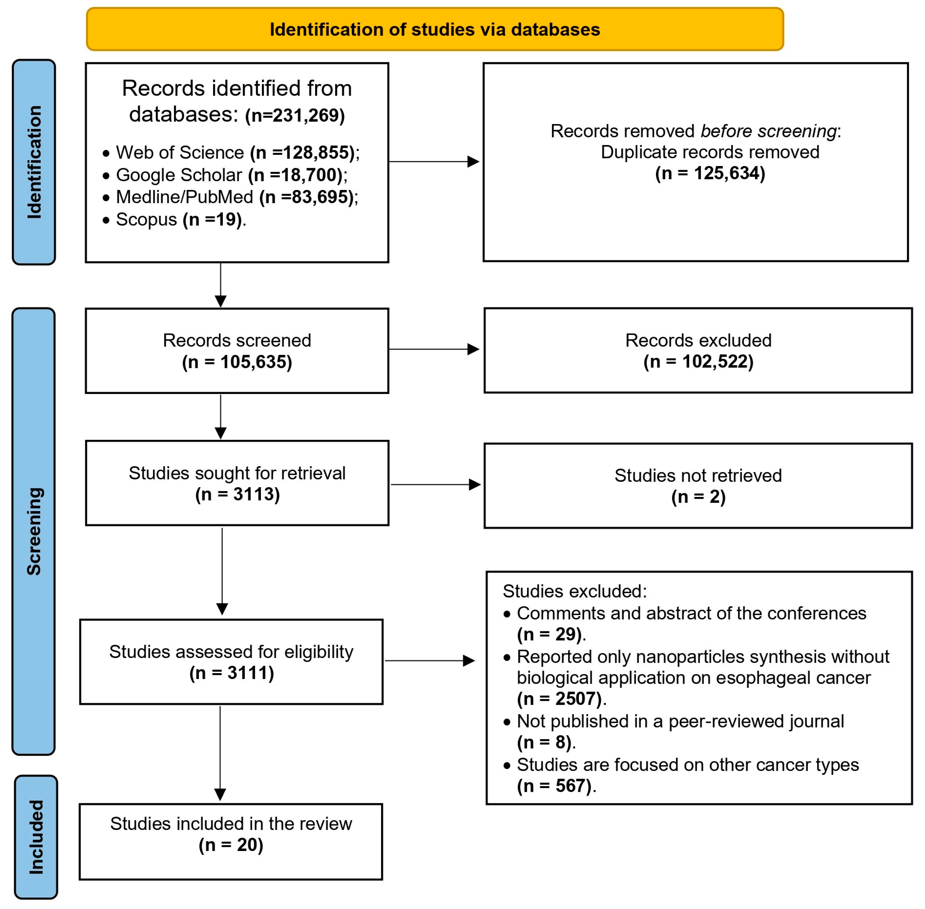 Applnano 06 00018 g001