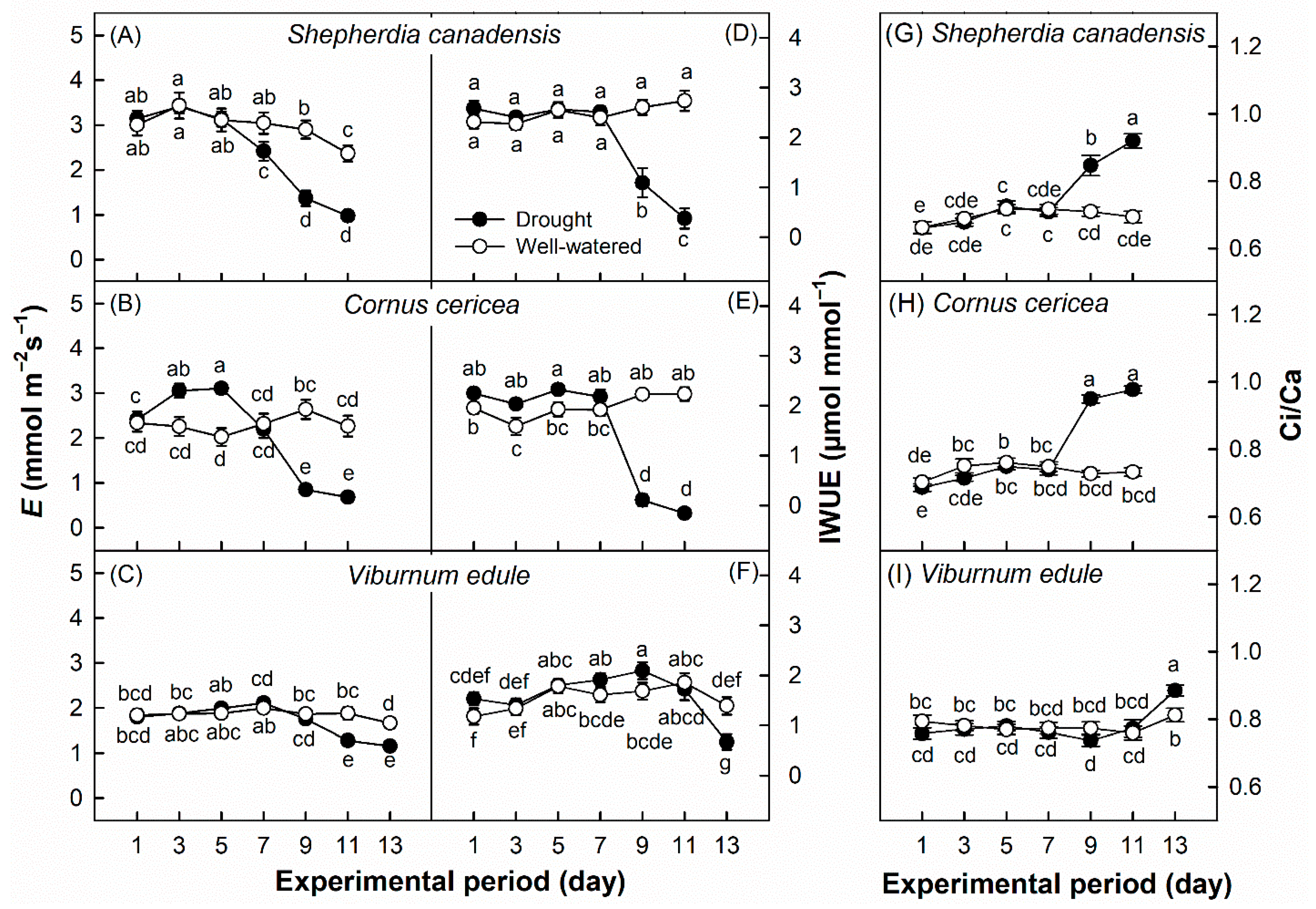 Applnano 06 00020 g005