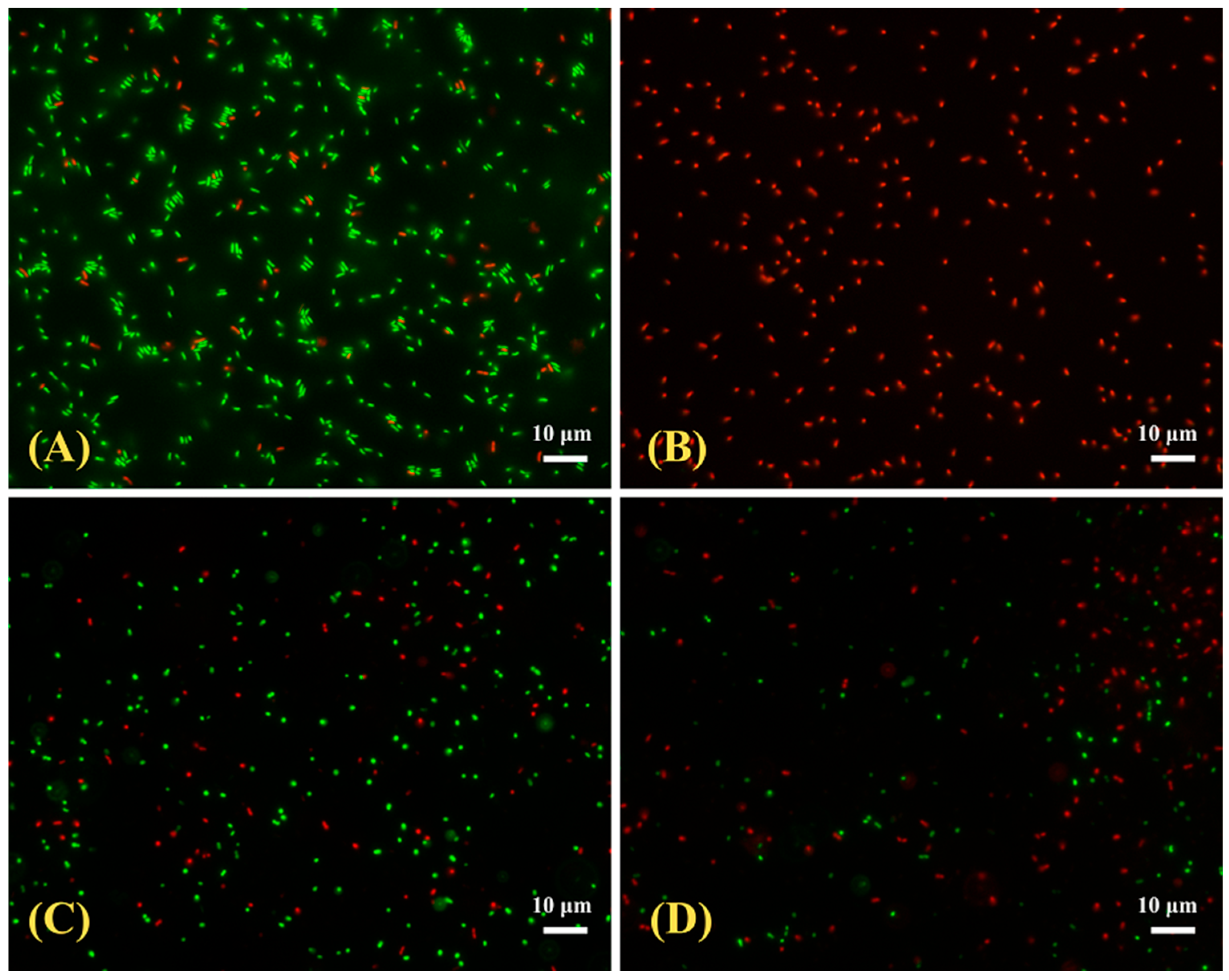 Applnano 06 00026 g005