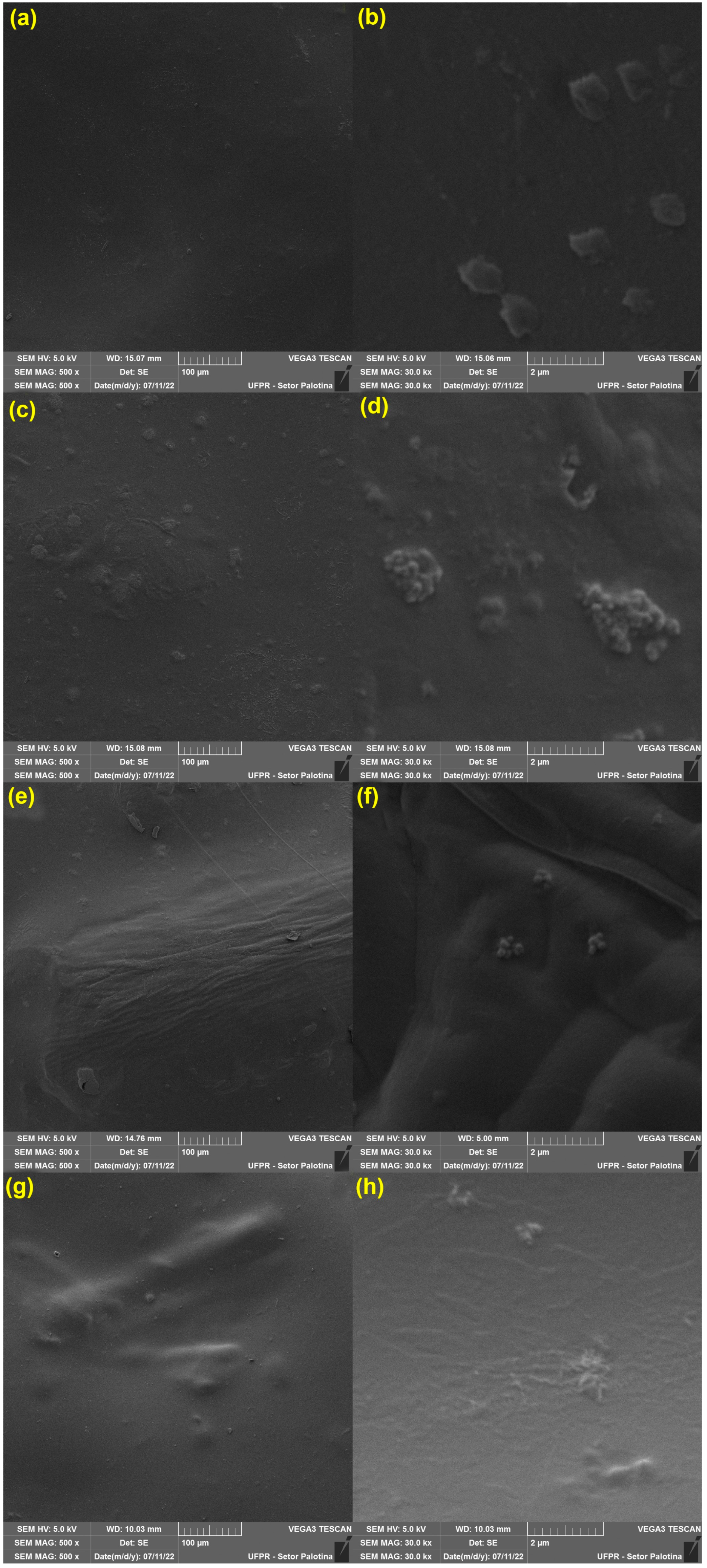 Applnano 06 00028 g004