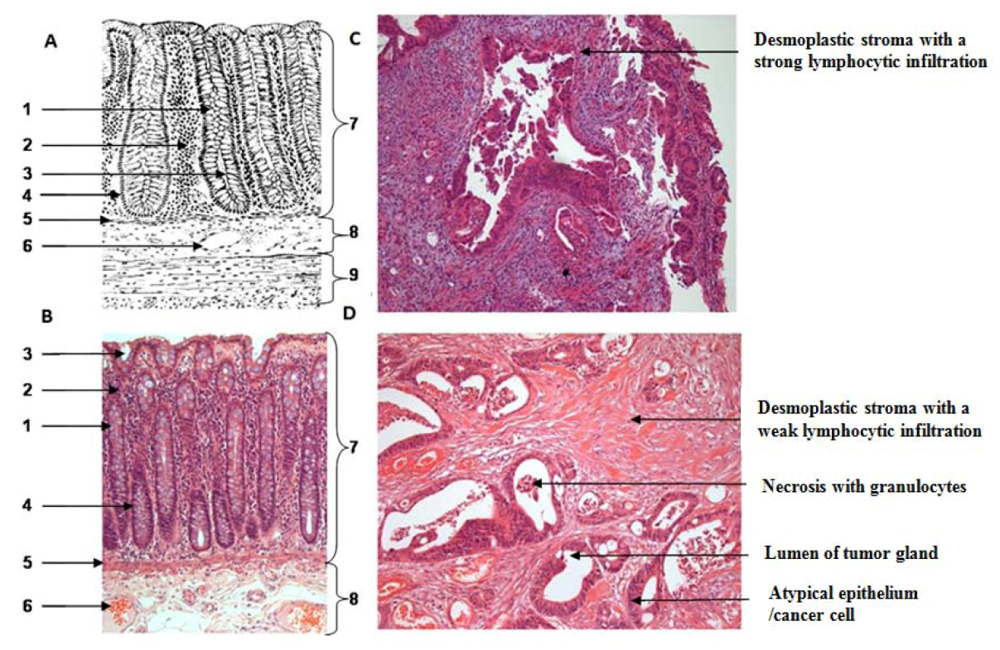 Applsci 02 00139 g004 1024