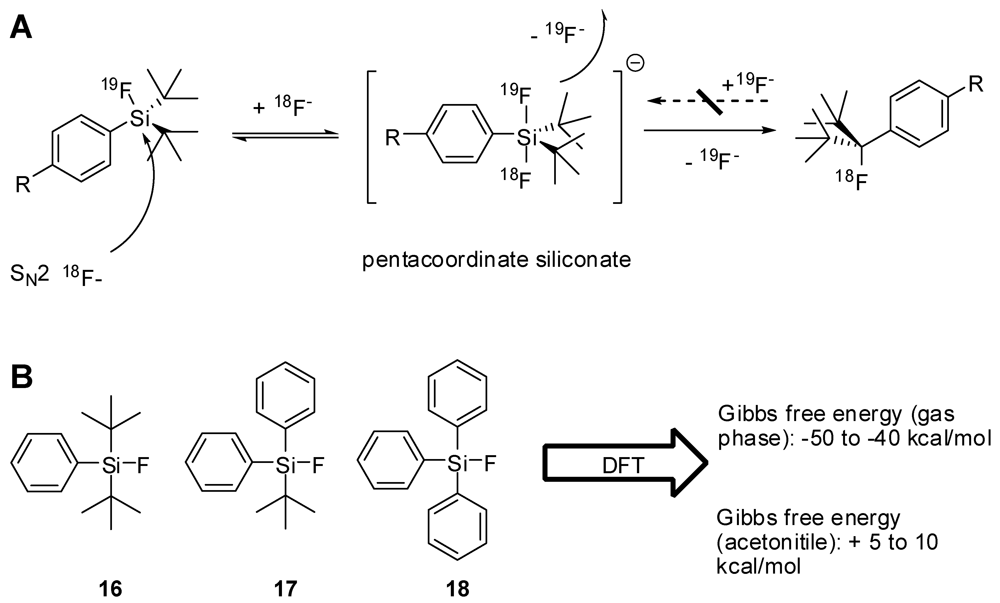PET Chemistry The Driving Force in Mole… Silicon-[18F]Fluorine Radiochemistry: Basics, Applications
