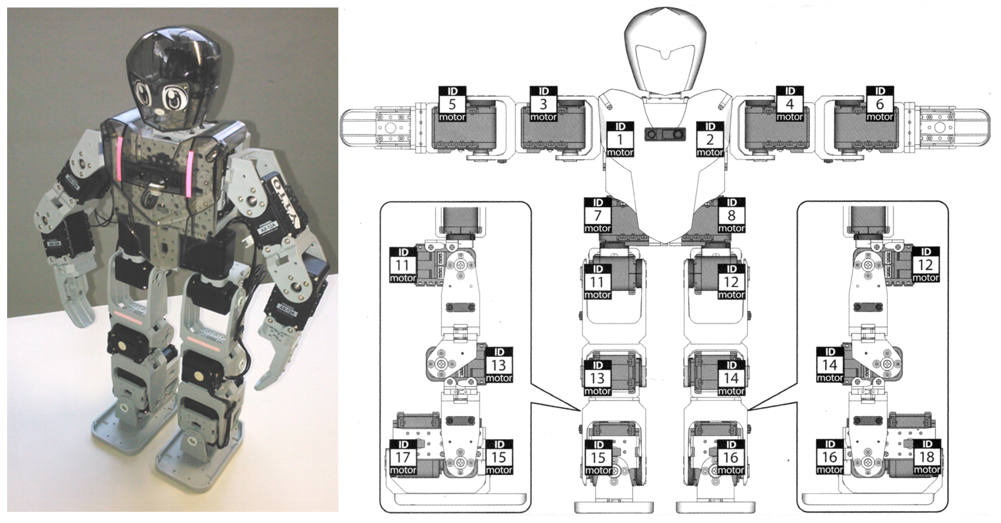 bioloid robot