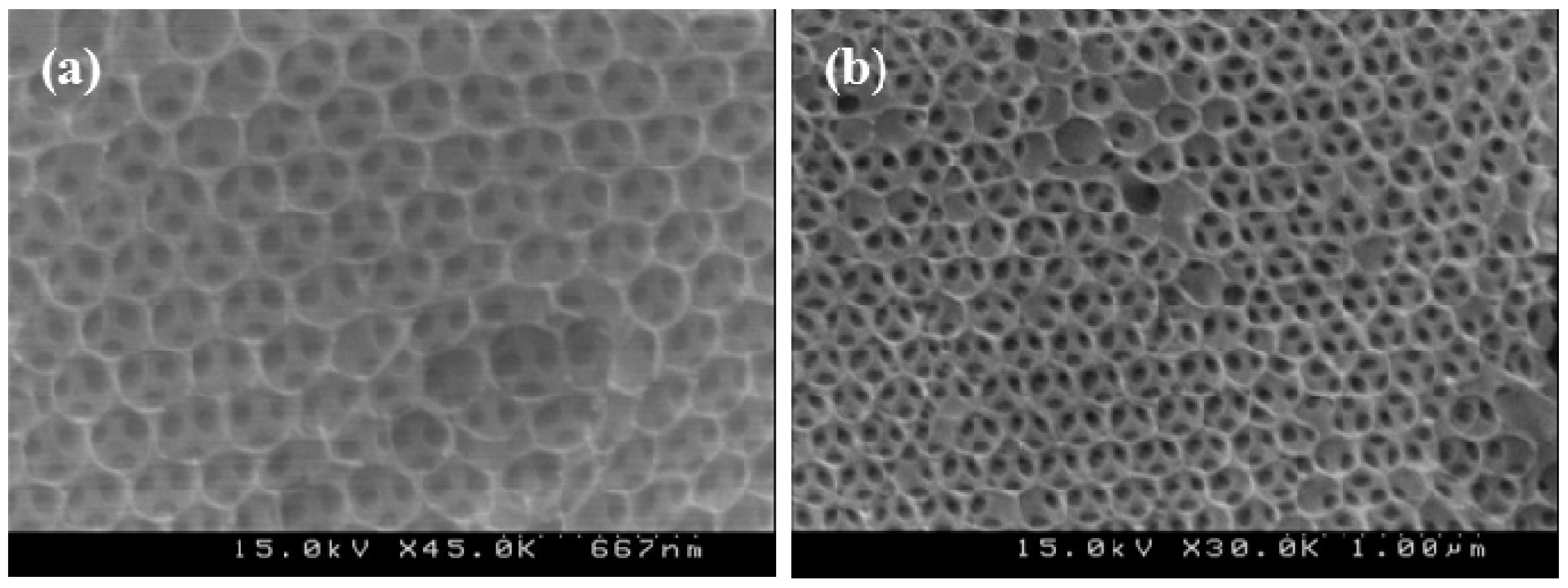 Applsci 06 00067 g005 1024