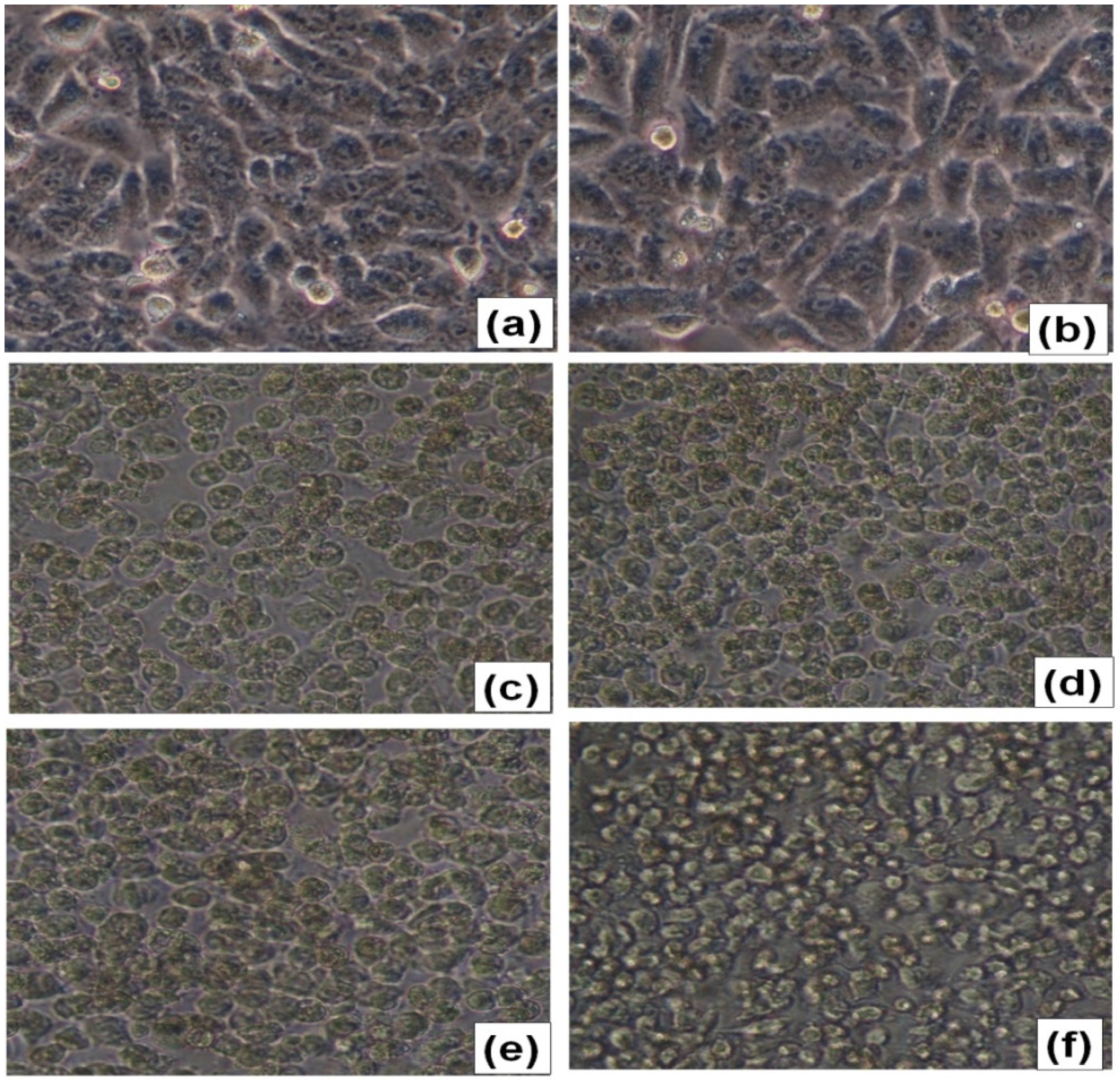 Applsci 06 00222 g009