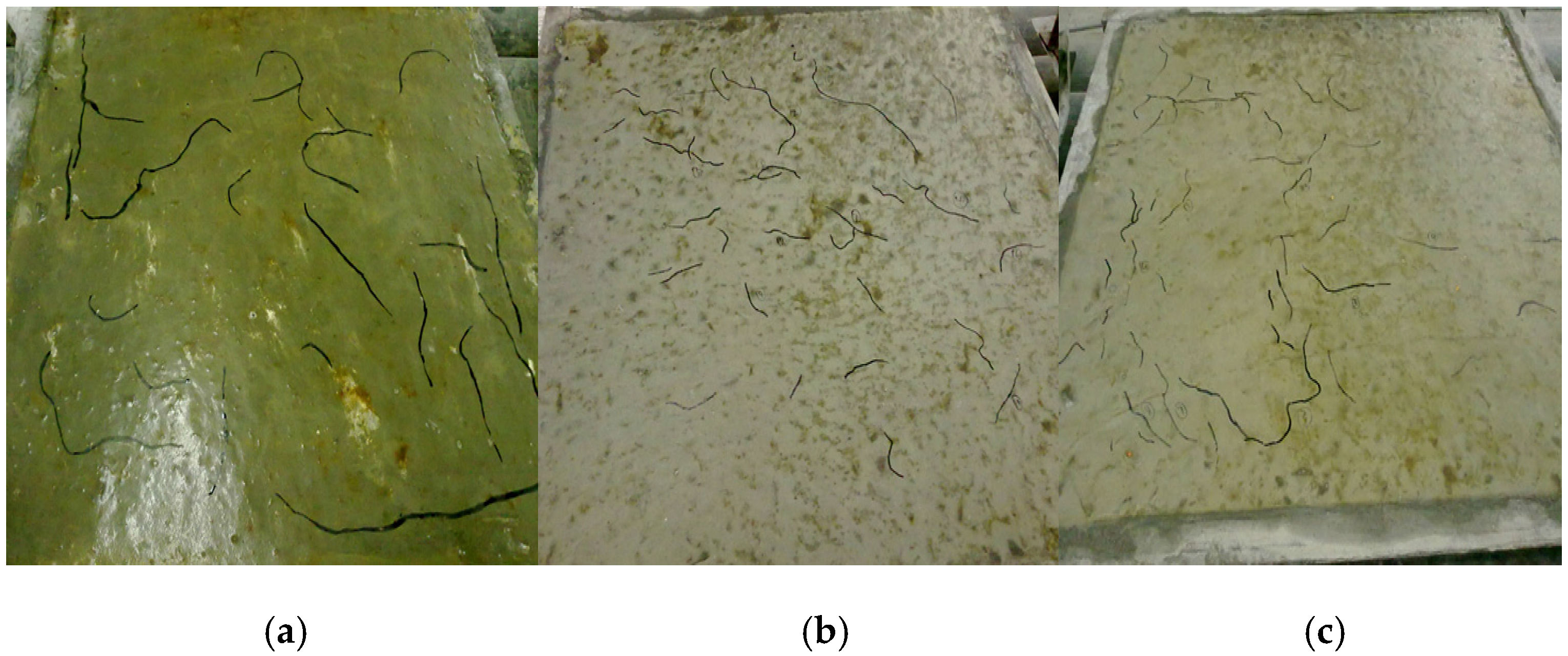 Applsci 06 00224 g009