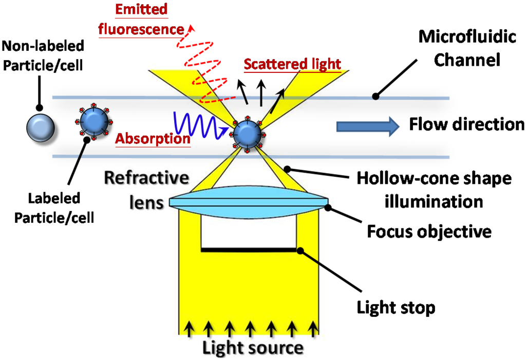 Chip-Based Cytometry Illuminated by a Blade-Shape Continuous
