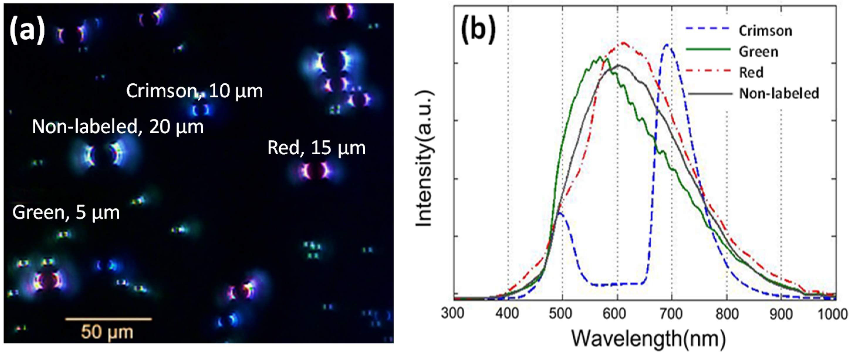 Applsci 06 00229 g004