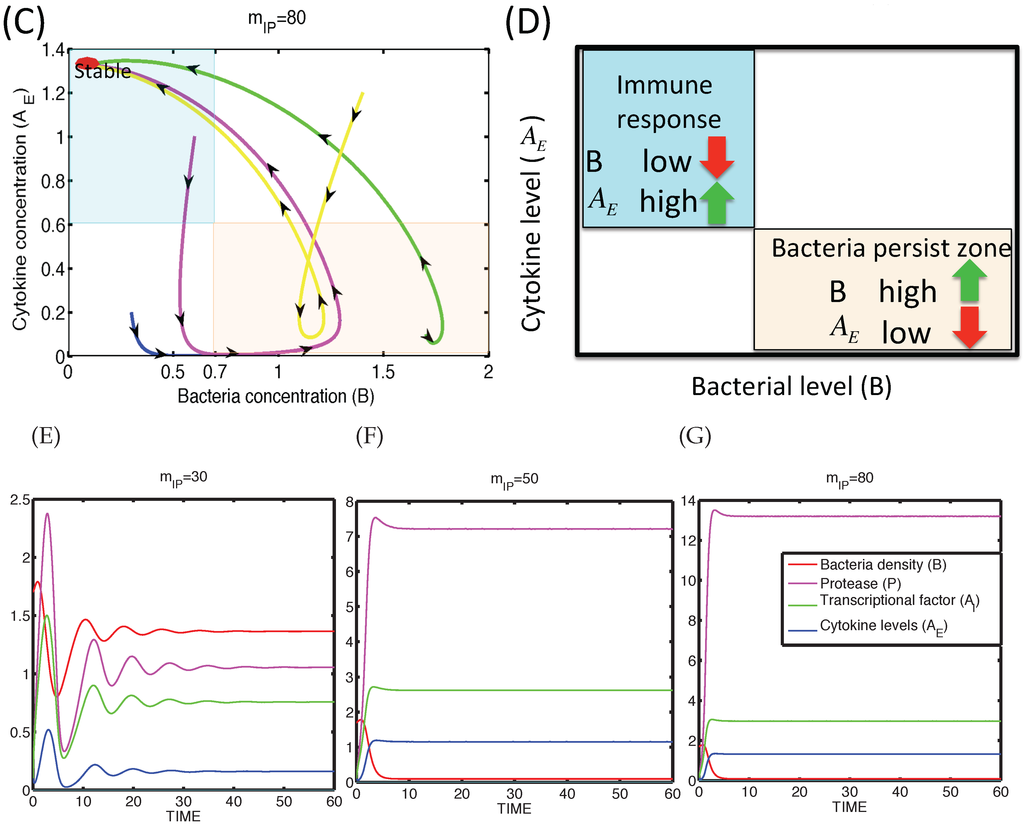 Applied Sciences Special Issue Dynamical Models Of - 