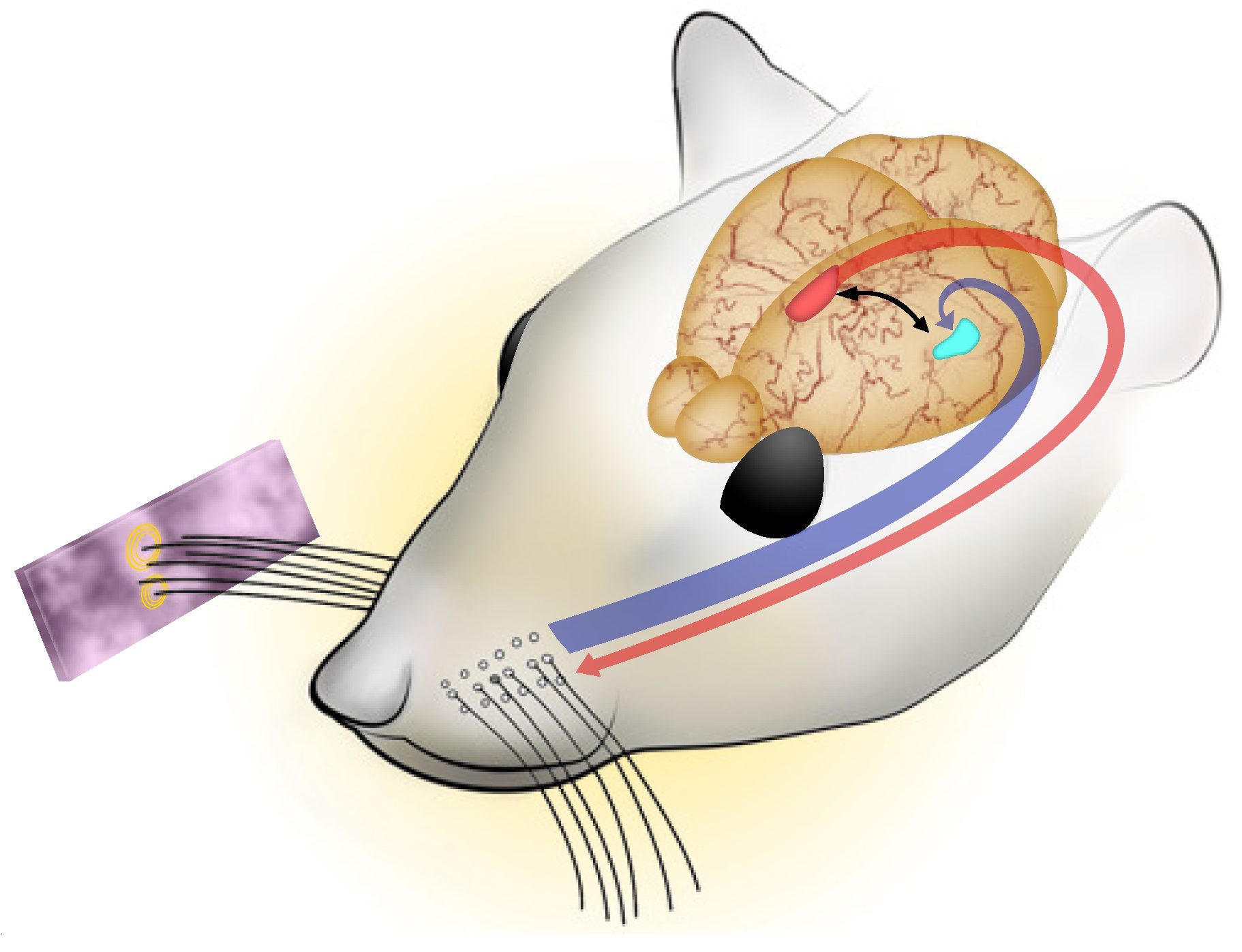 Applsci 06 00297 g001