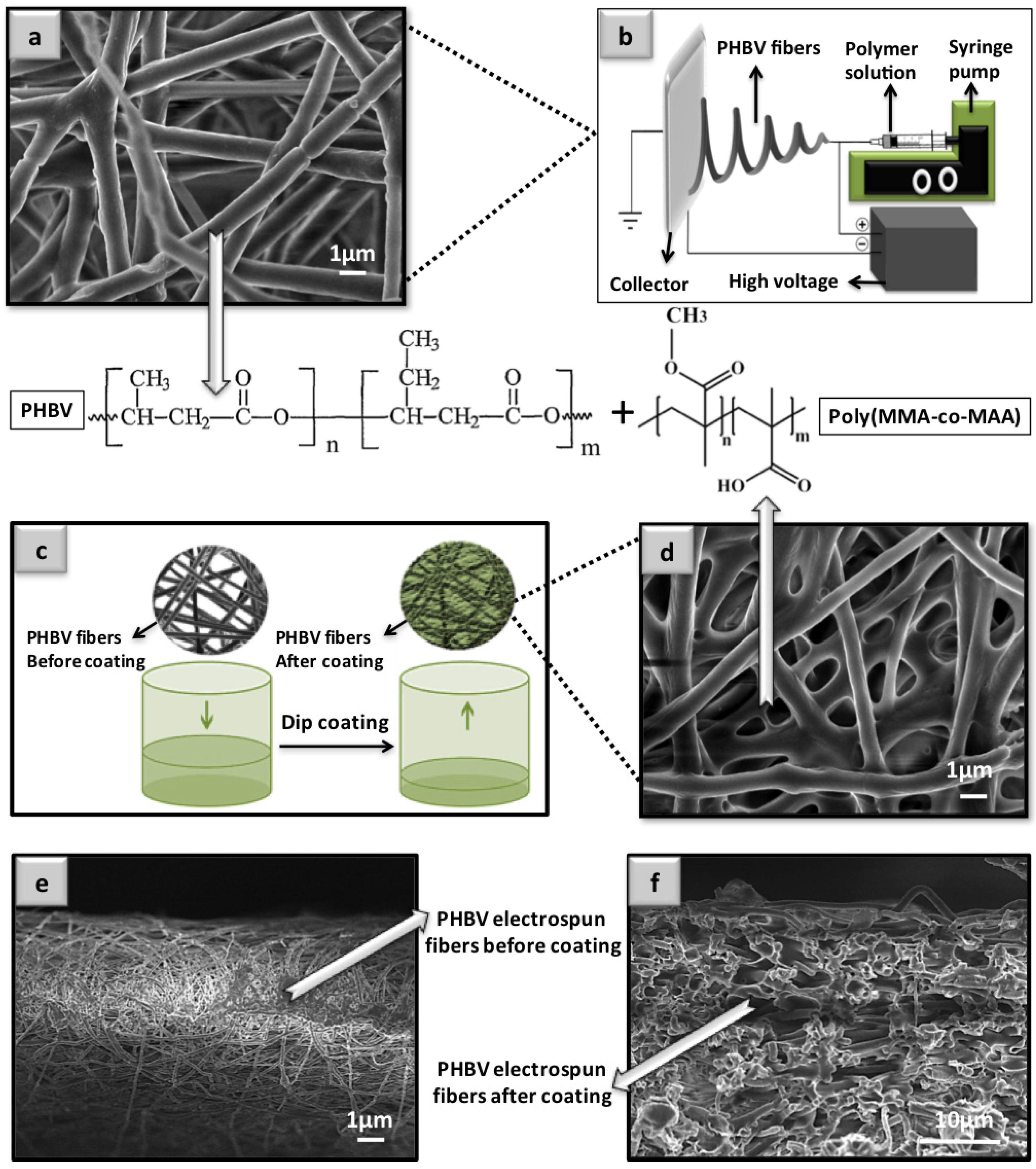 Applsci 06 00336 g001
