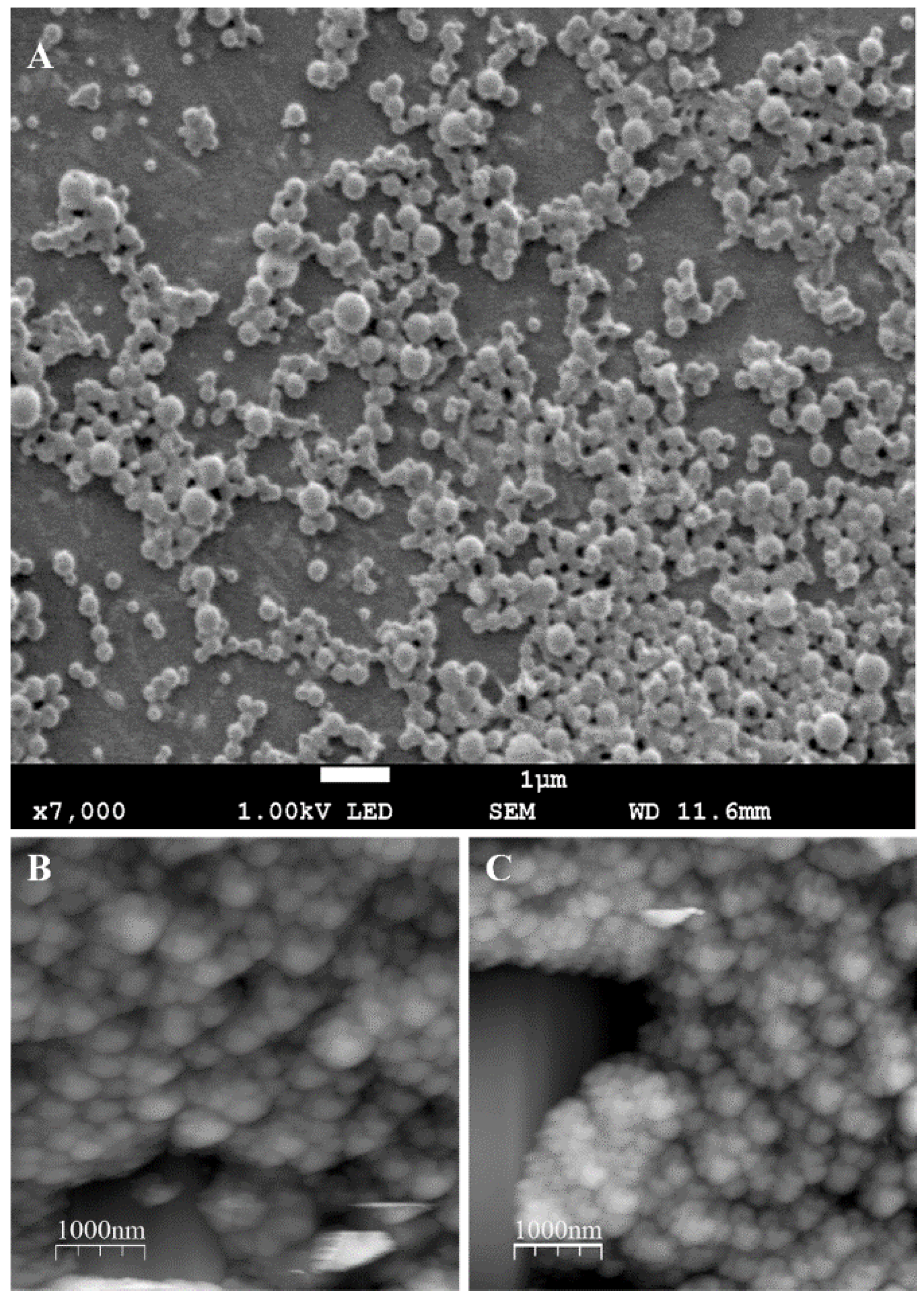 Applsci 06 00364 g004 550