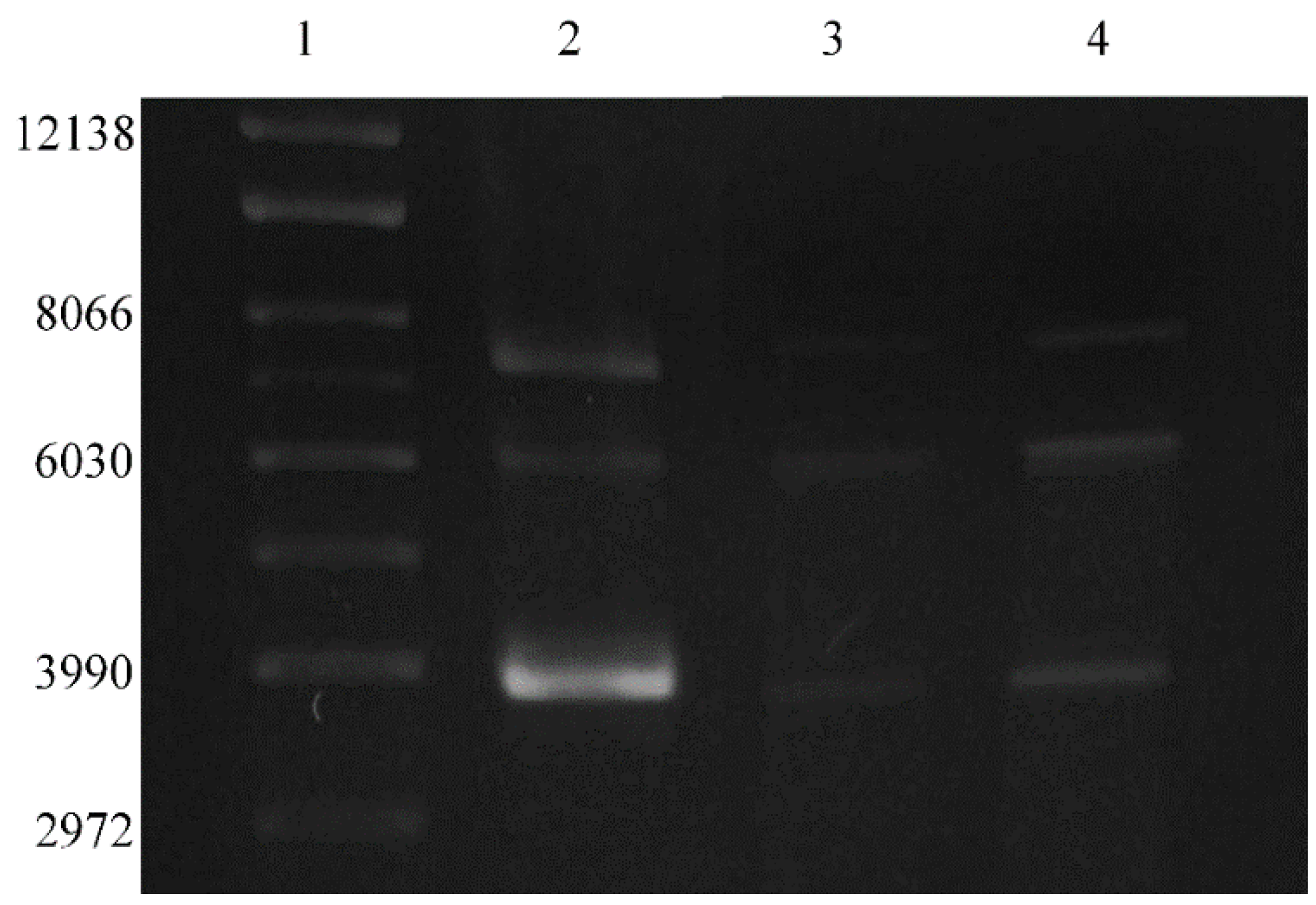 Applsci 06 00364 g006 550