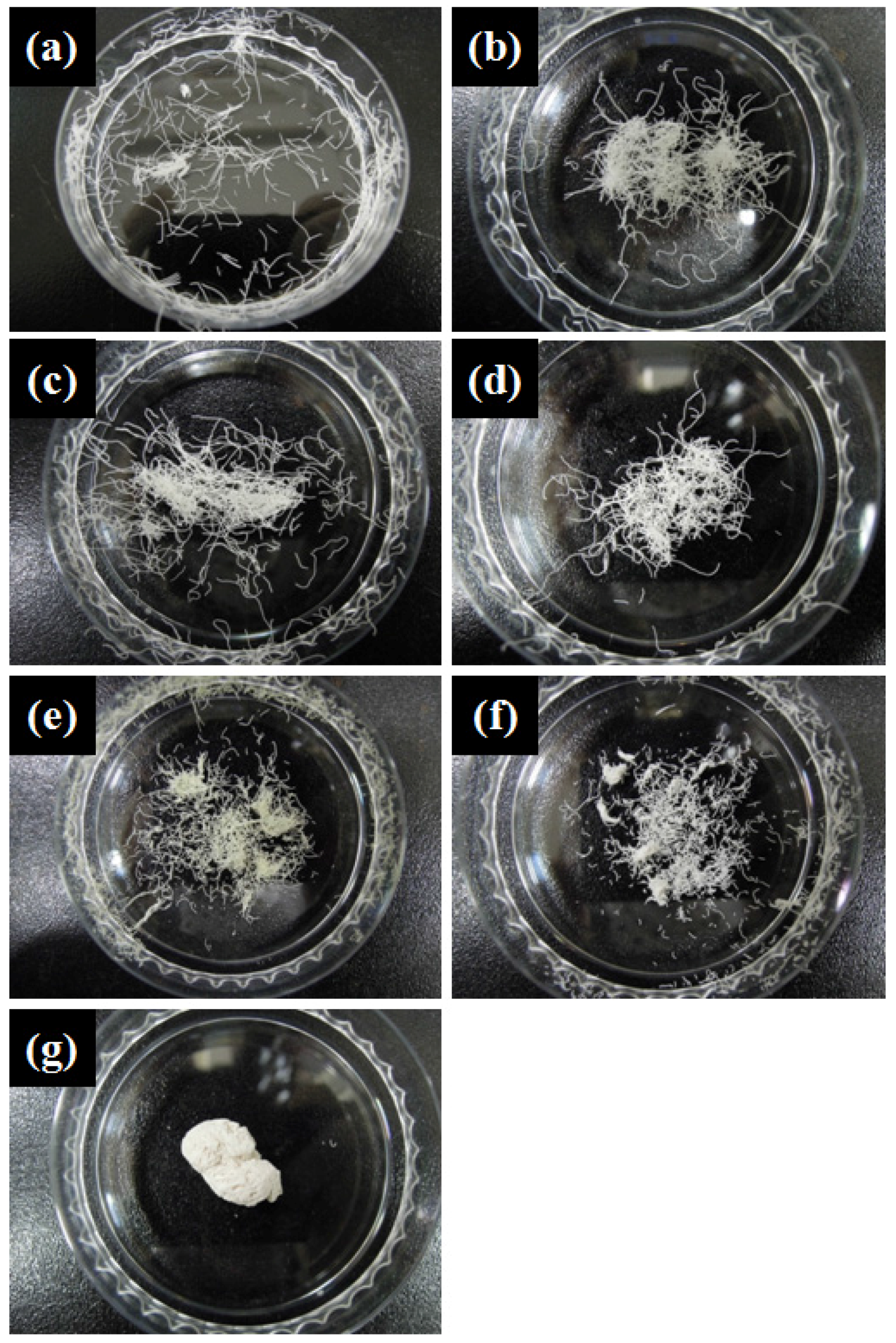 Applsci 06 00378 g001 550