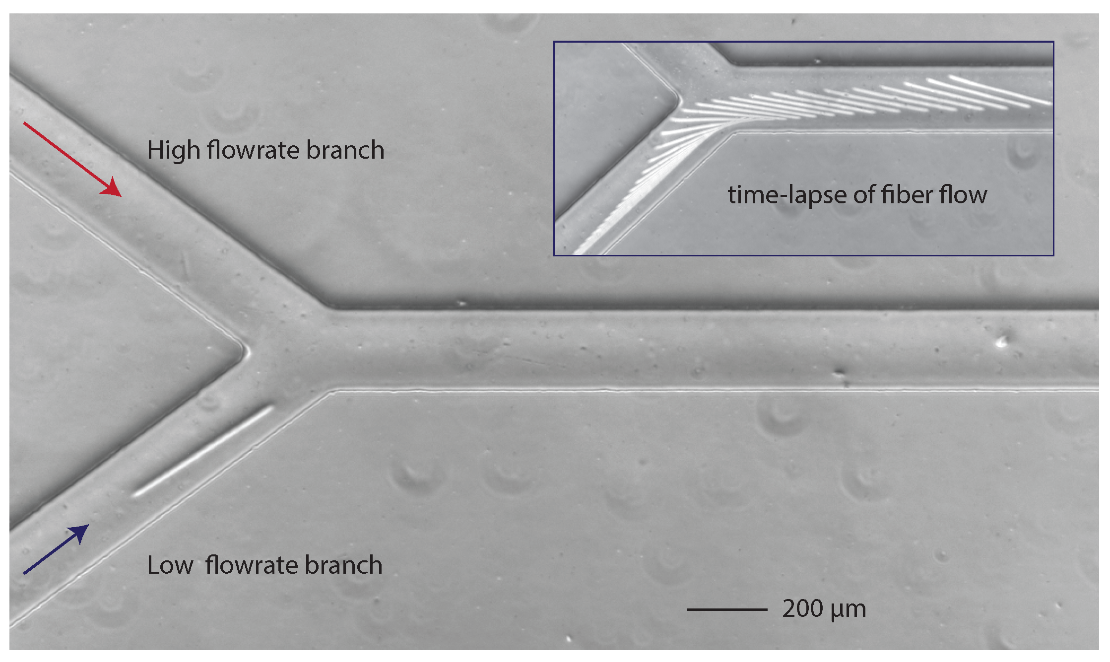 Applsci 06 00385 g002 550