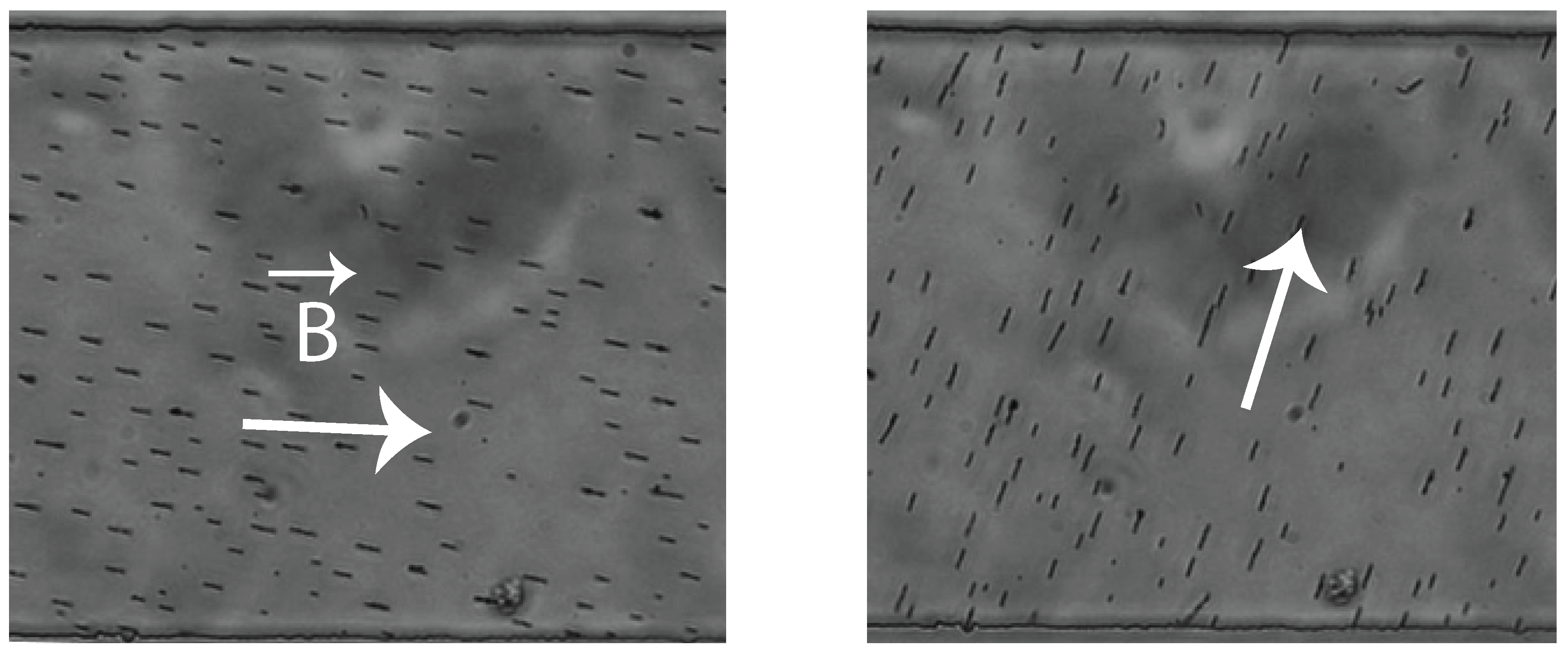 Applsci 06 00385 g008 550