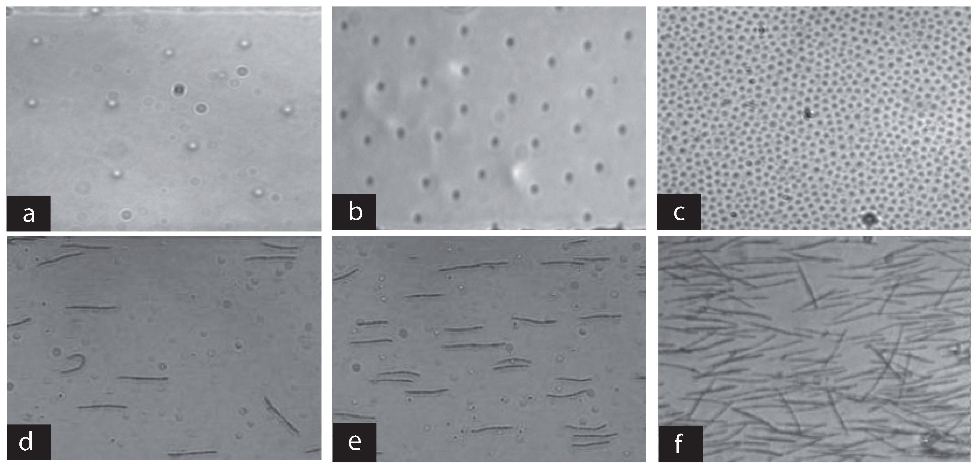 Applsci 06 00385 g009 550