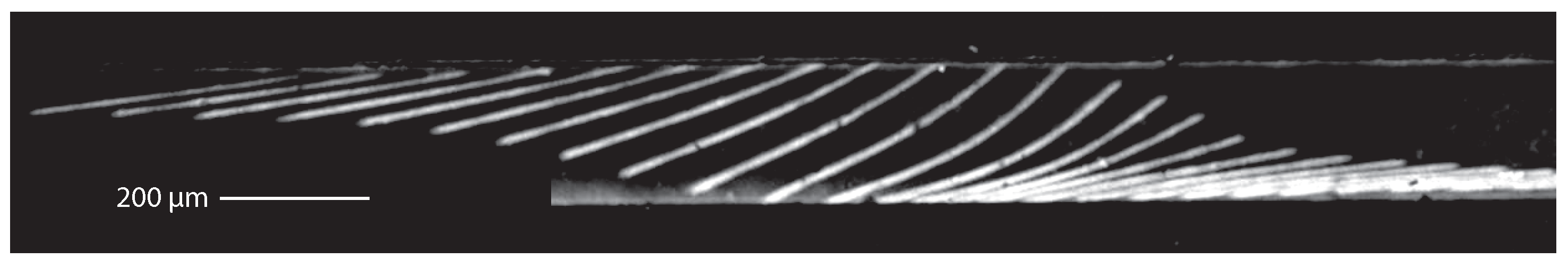 Applsci 06 00385 g012 550