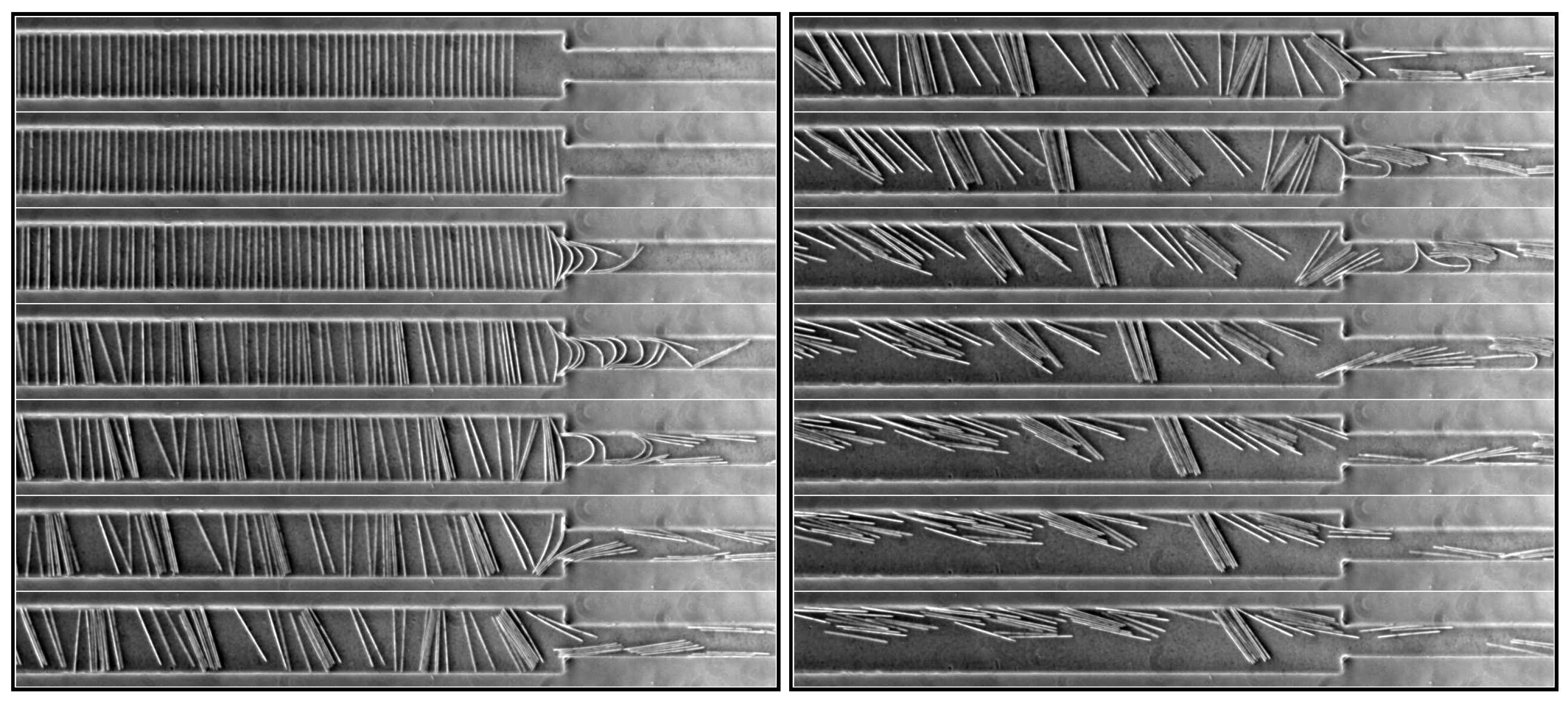 Applsci 06 00385 g016 550