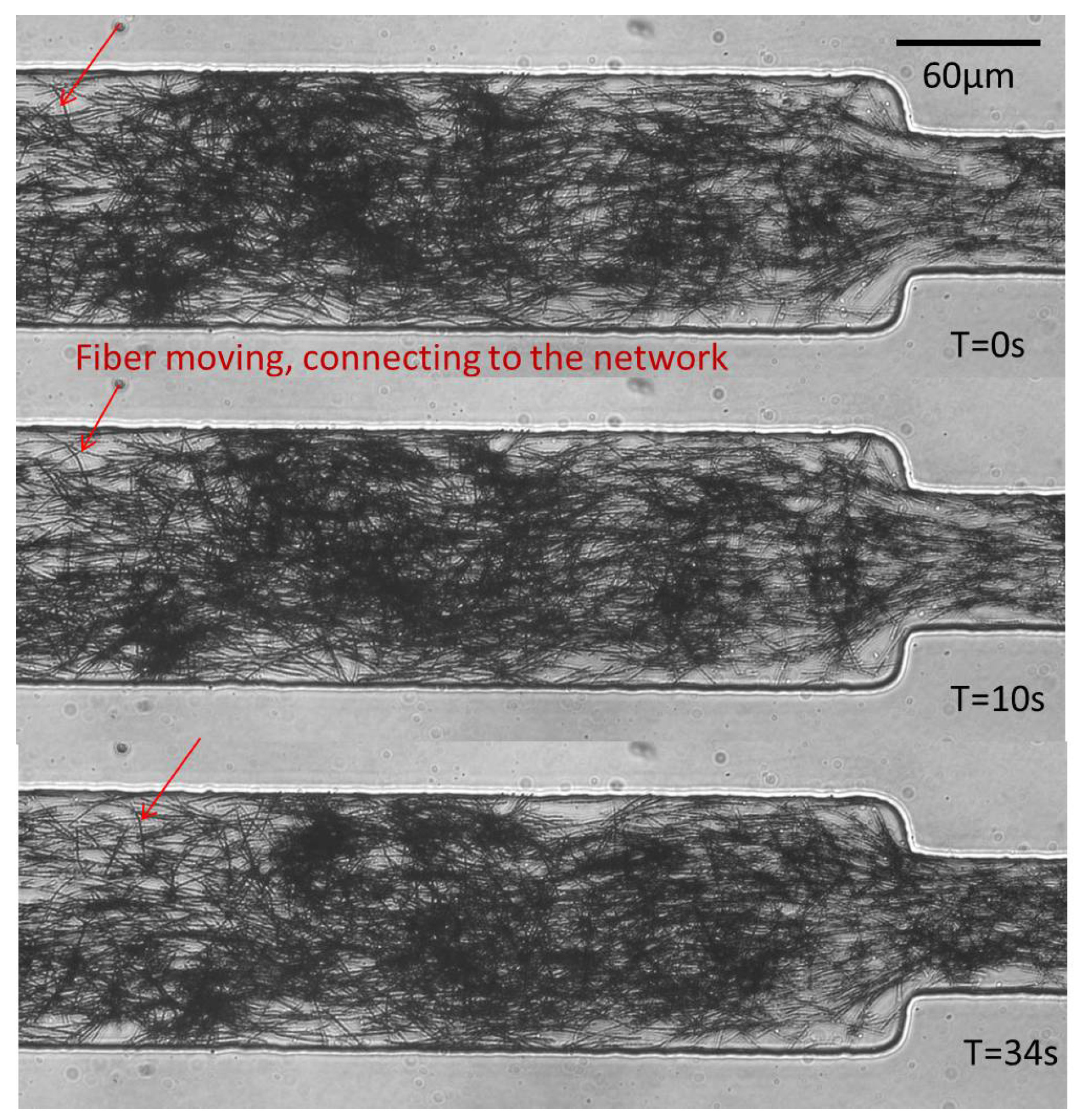 Applsci 06 00385 g019 550