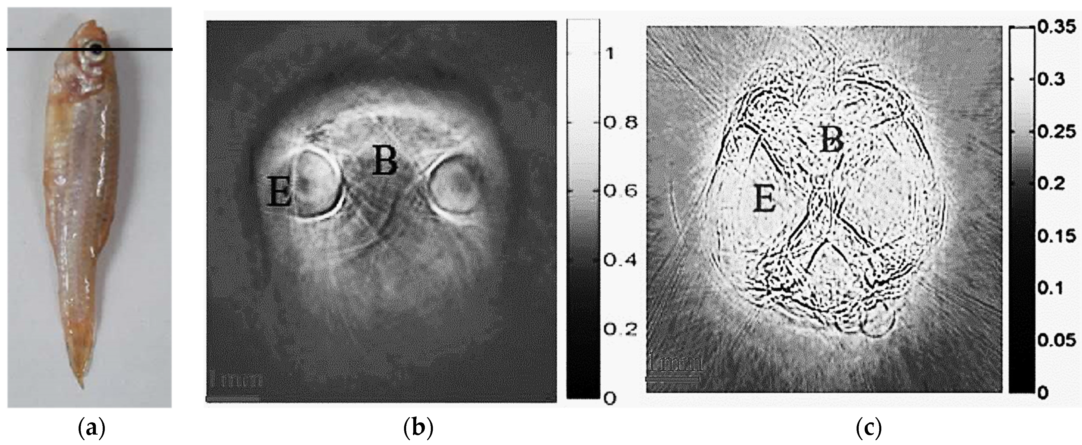 Applsci 06 00392 g004 550