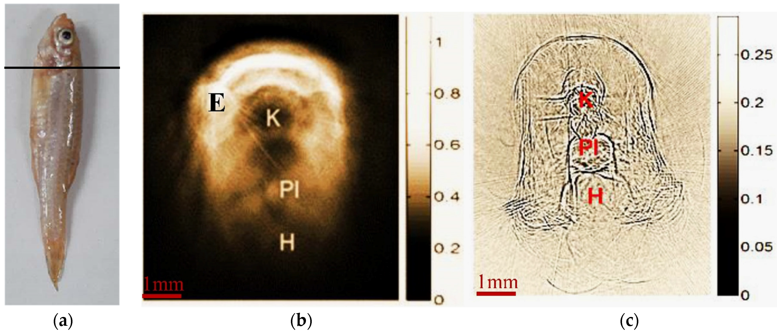 Applsci 06 00392 g005 550