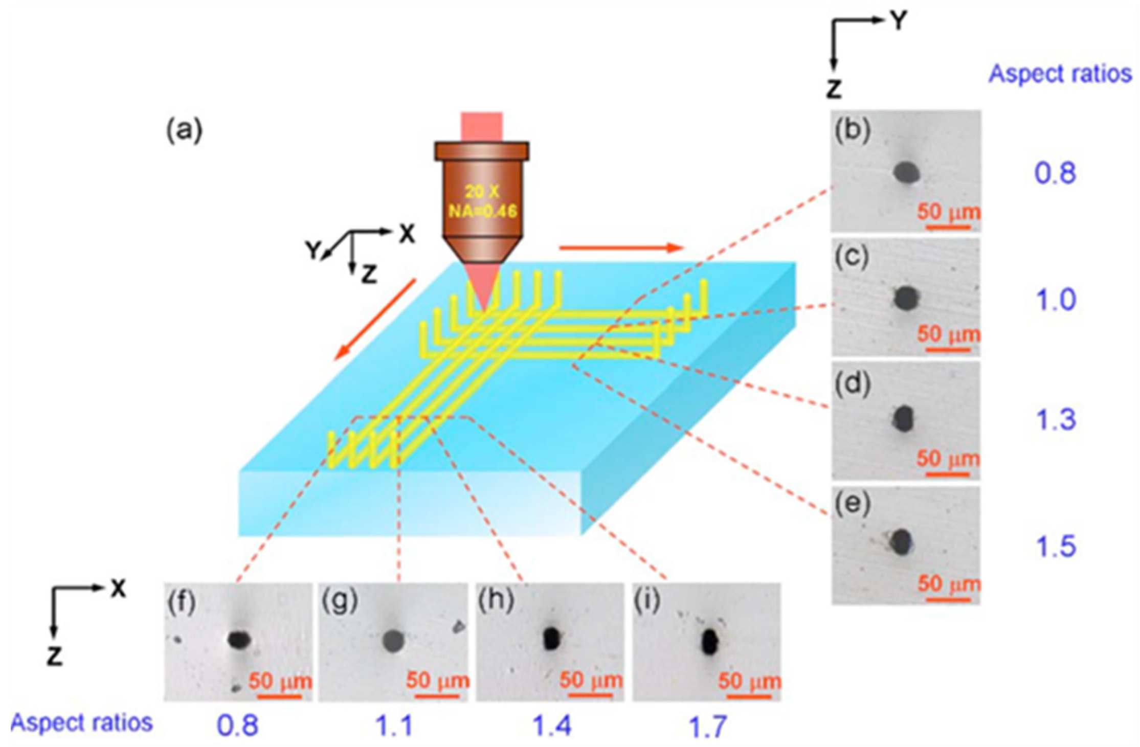 Applsci 06 00428 g006 550