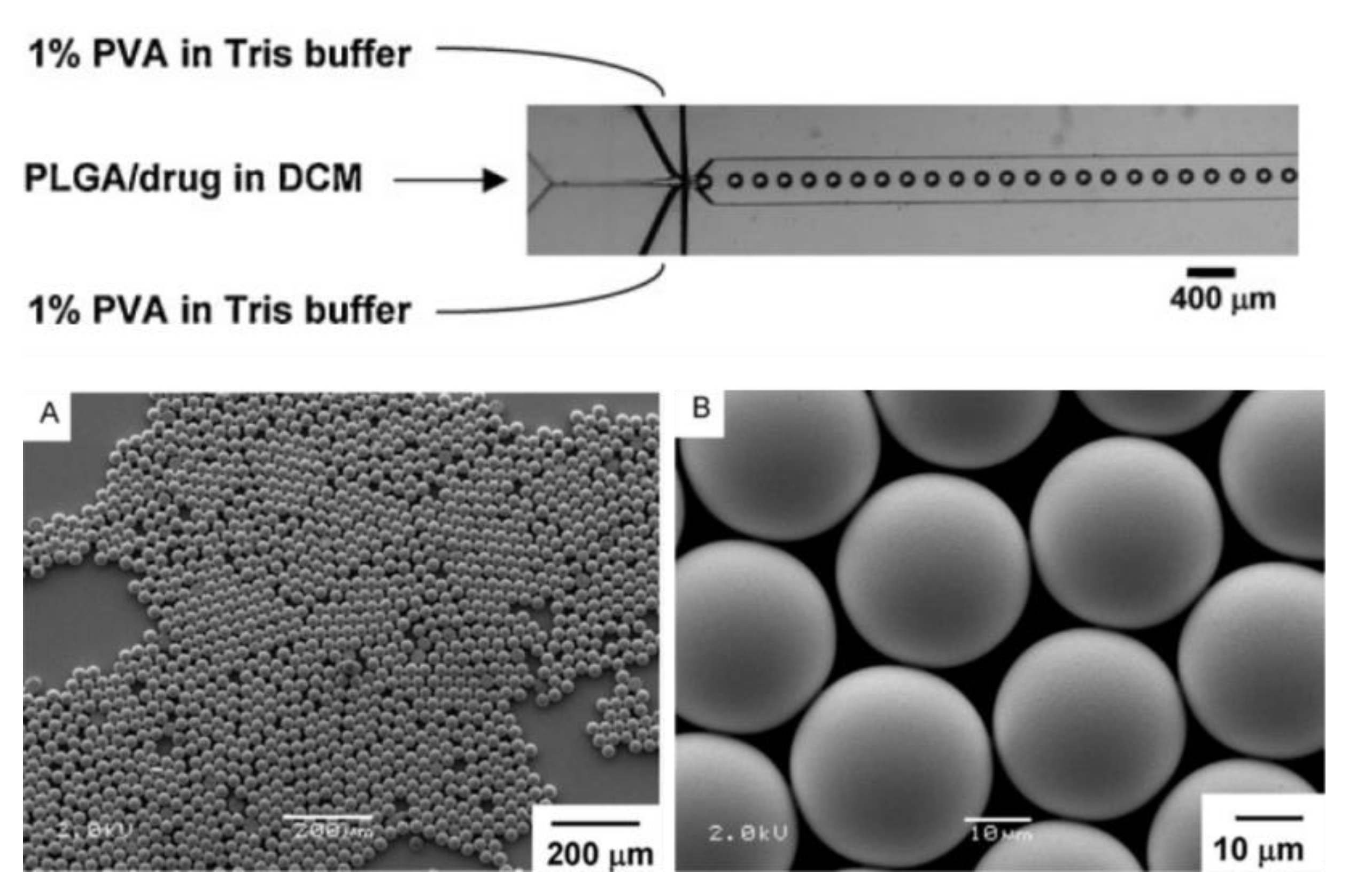 Applsci 06 00436 g005