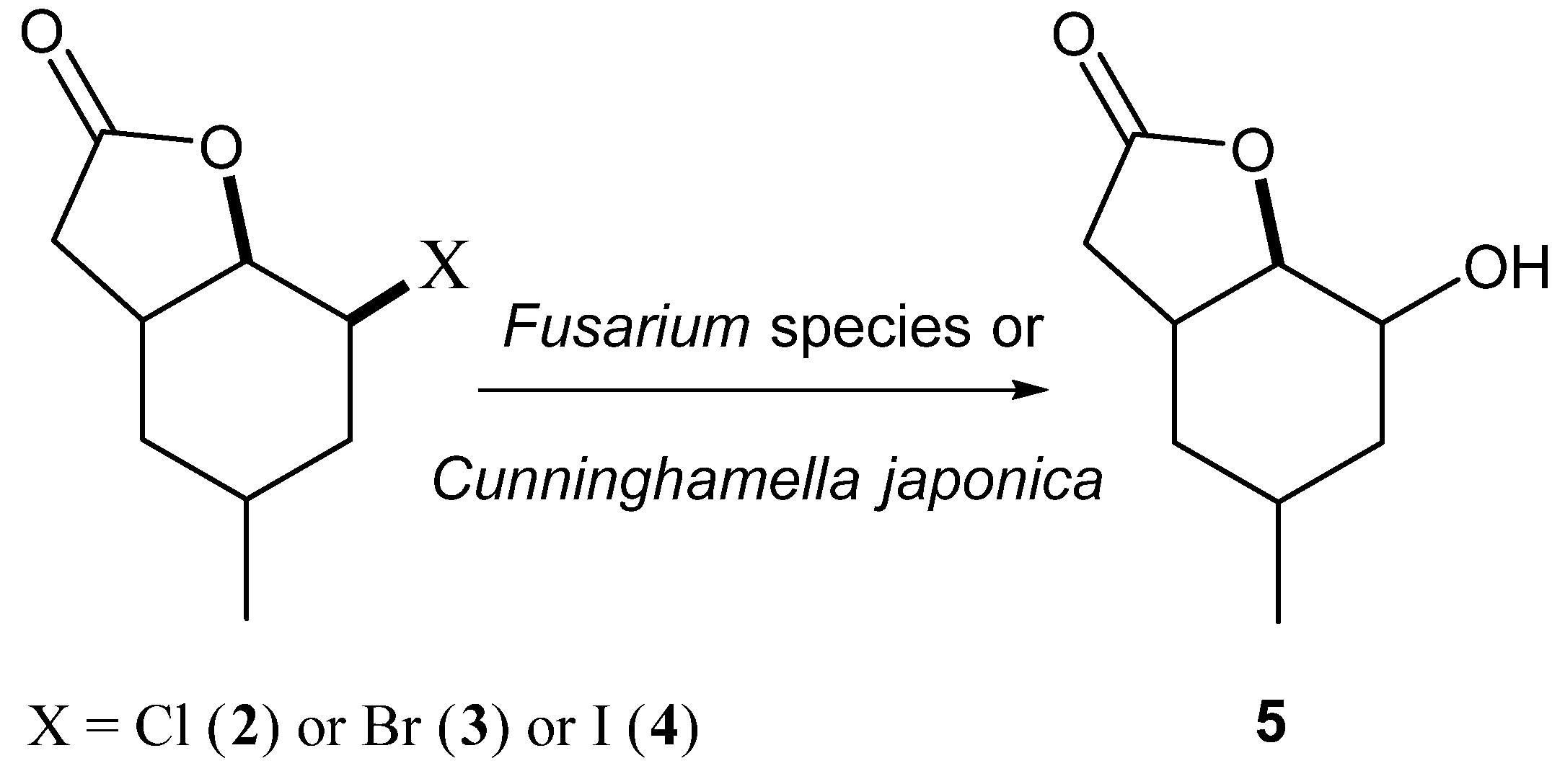 Applsci 07 00012 sch002 550