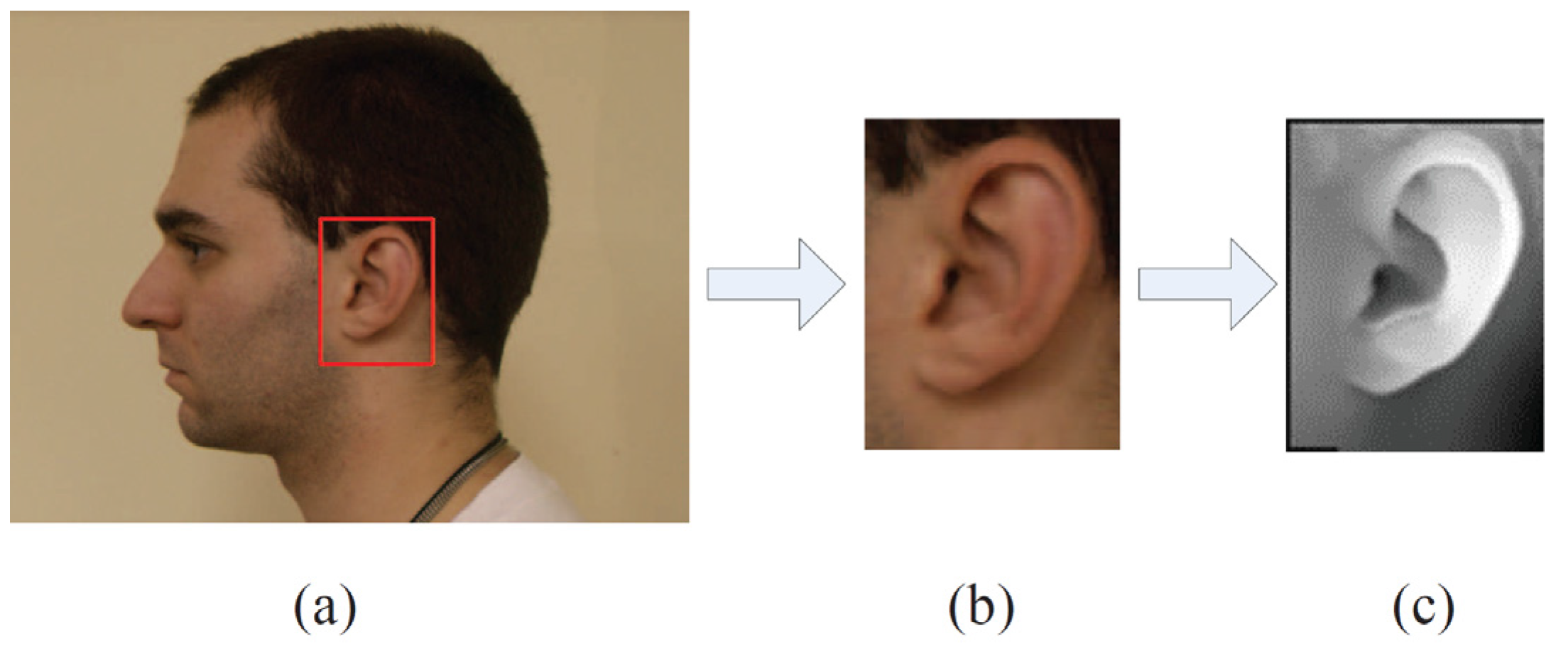 Applsci 07 00104 g002