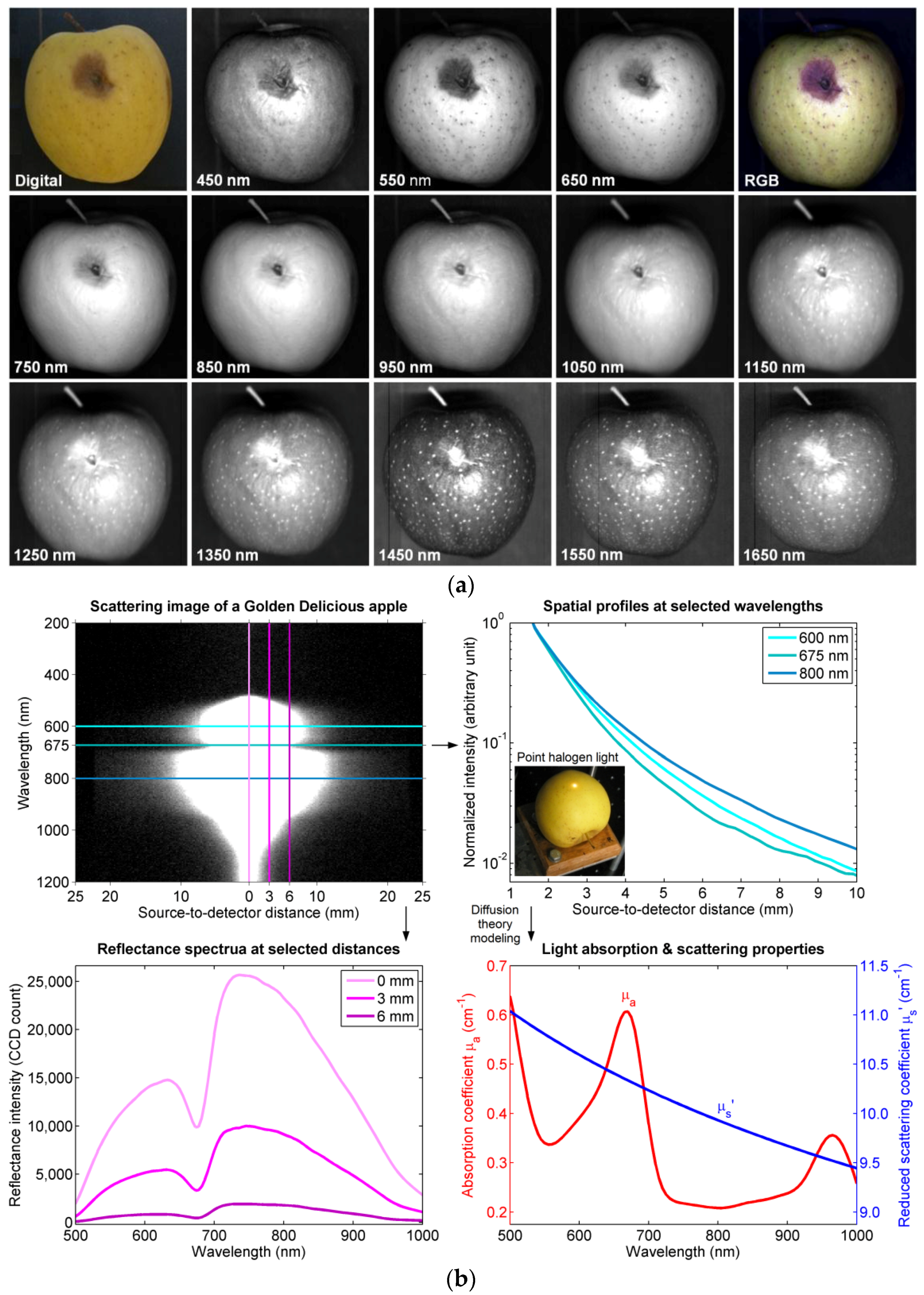 Applsci 07 00125 g007