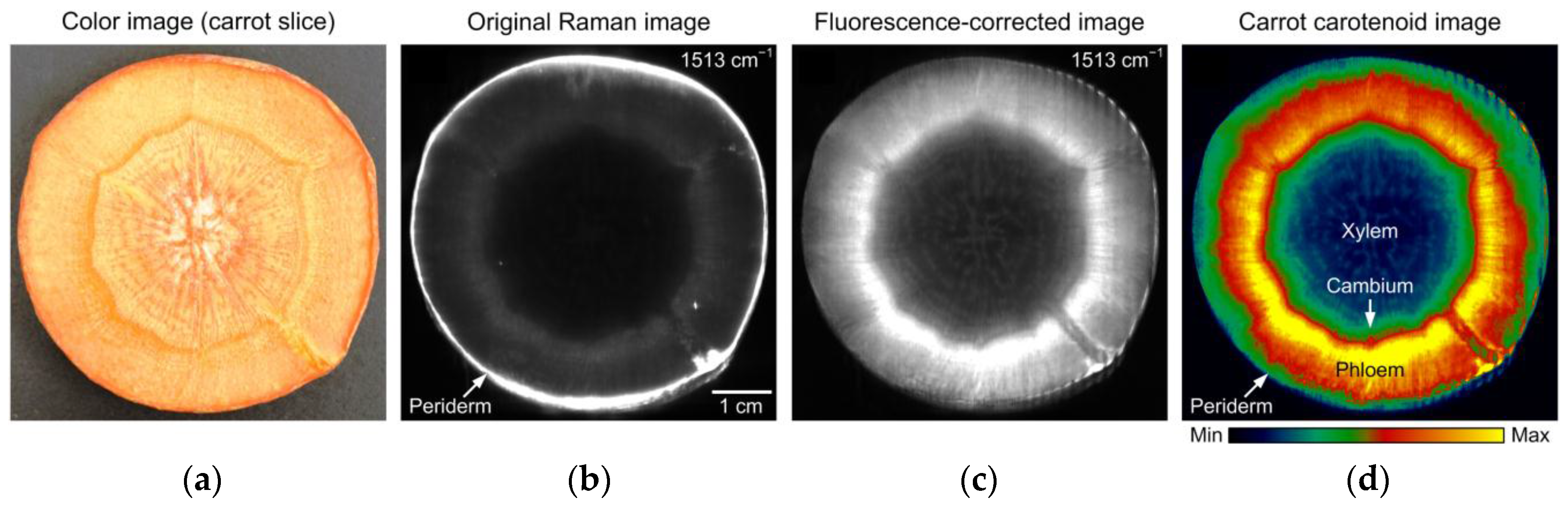 Applsci 07 00125 g008a