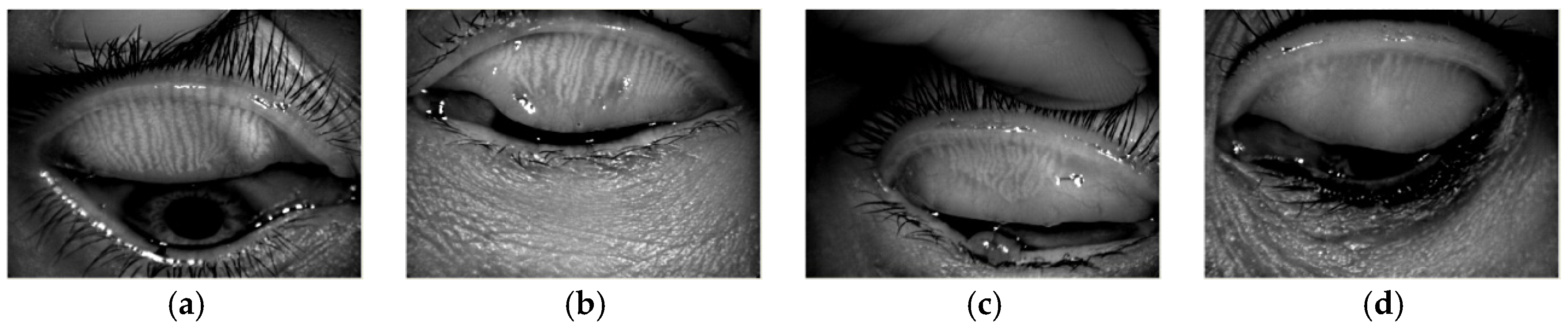 Applsci 07 00192 g006