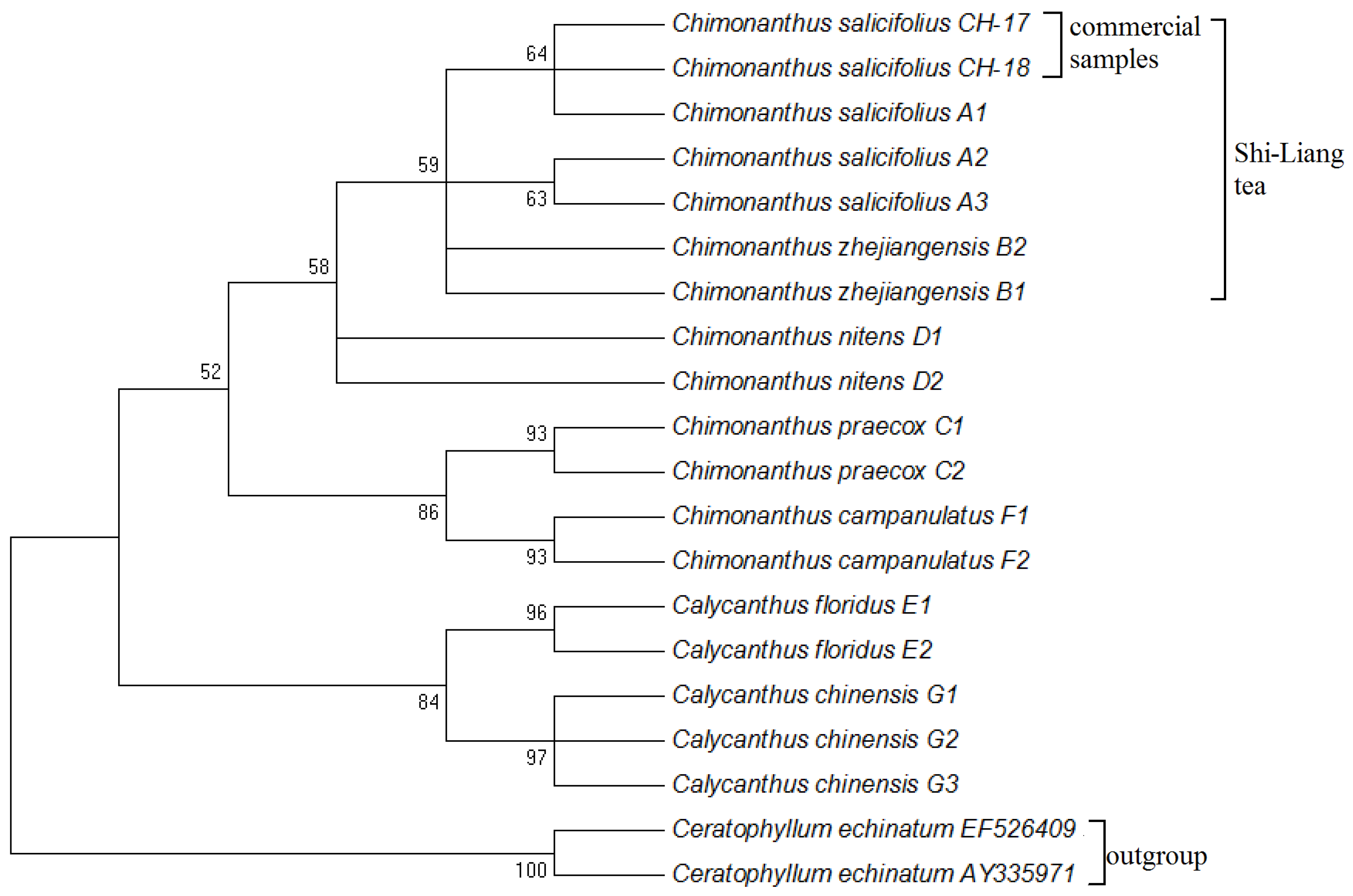 Applsci 07 00195 g001