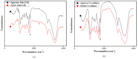Enhanced Agarose and Xylan Degradation for Production of ...