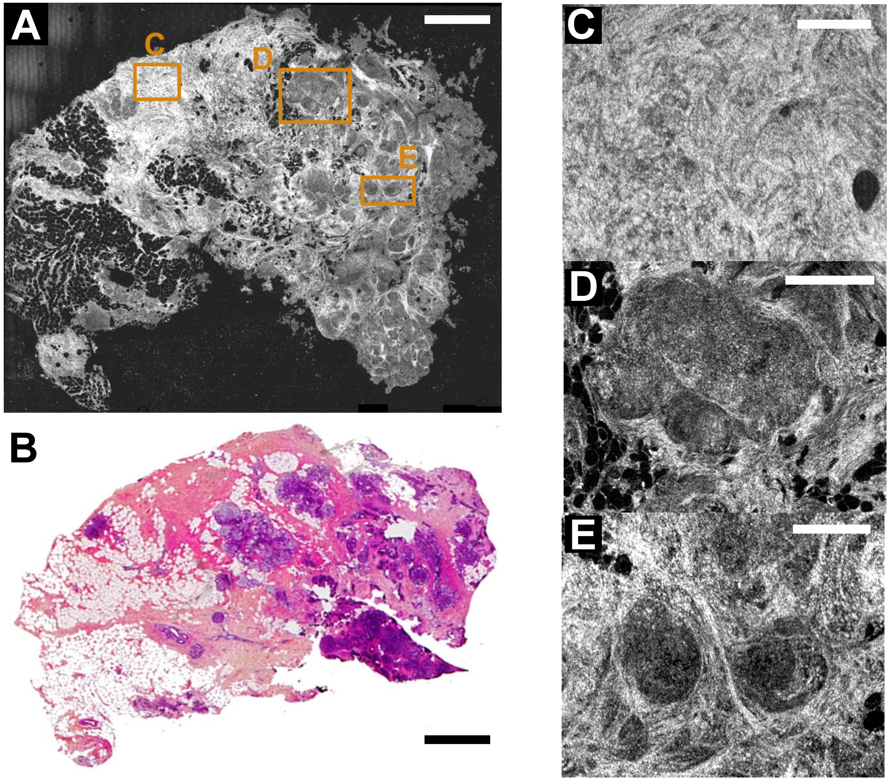 Applsci 07 00236 g002