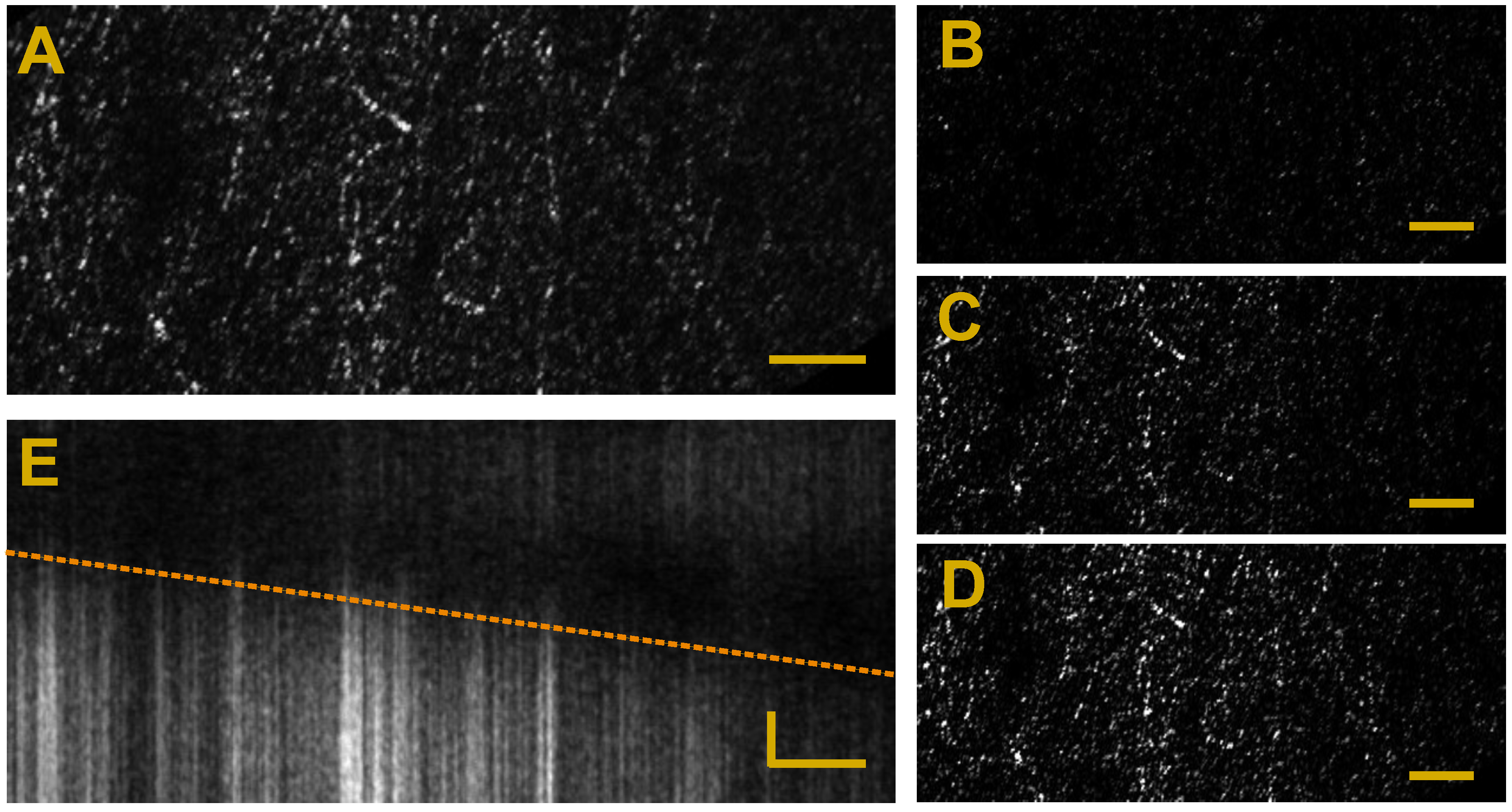 Applsci 07 00236 g004