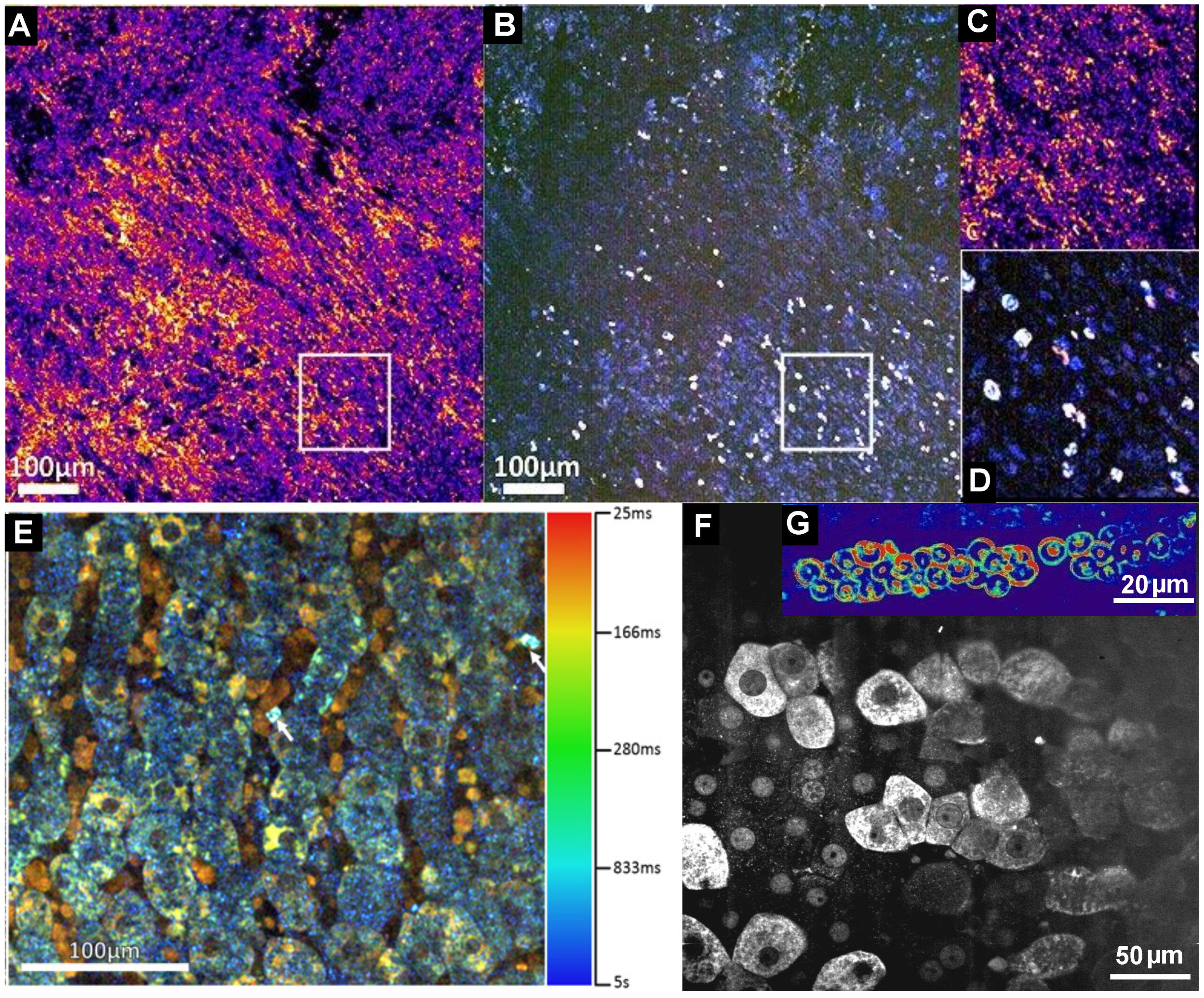Applsci 07 00236 g005