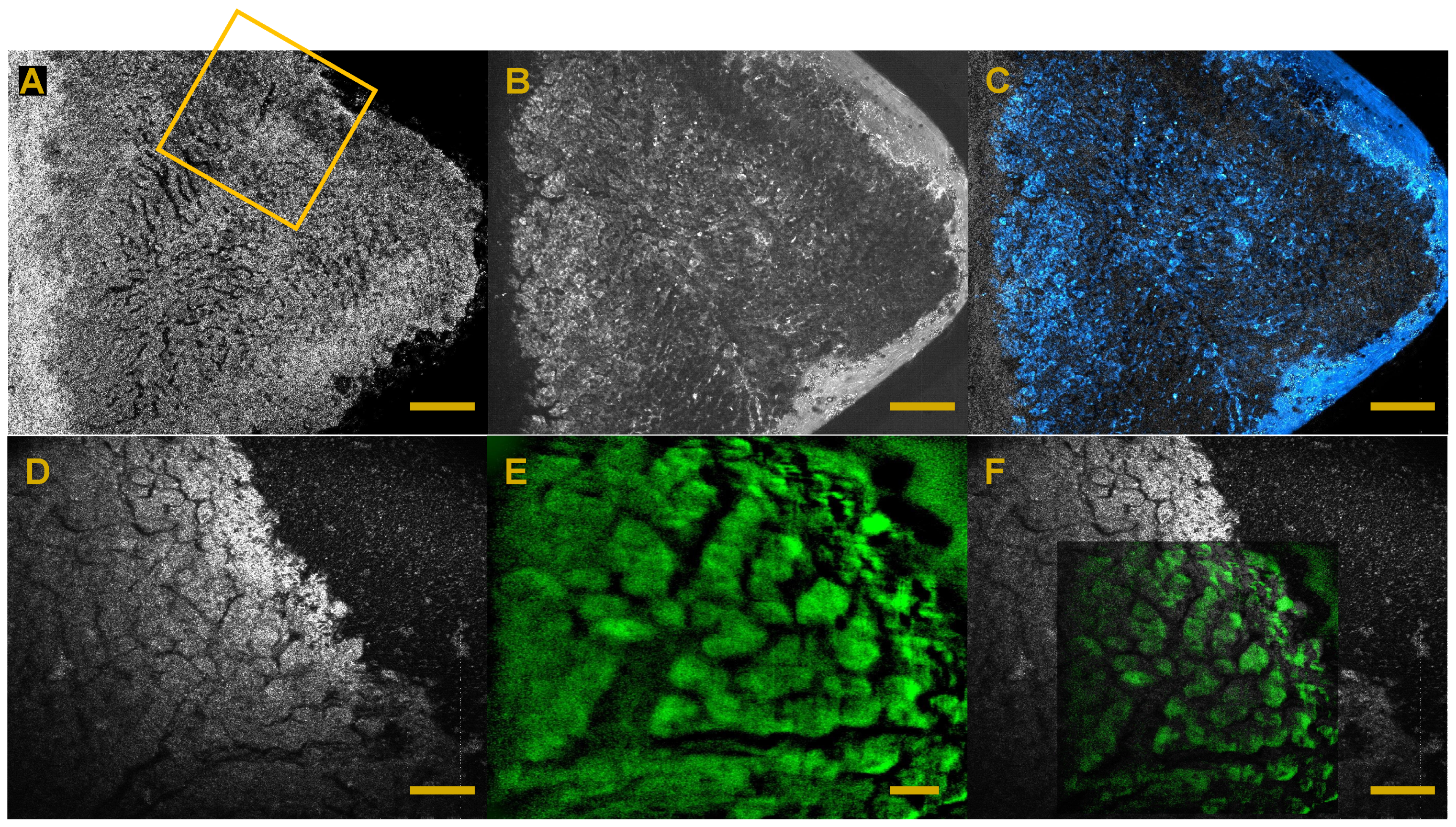 Applsci 07 00236 g008