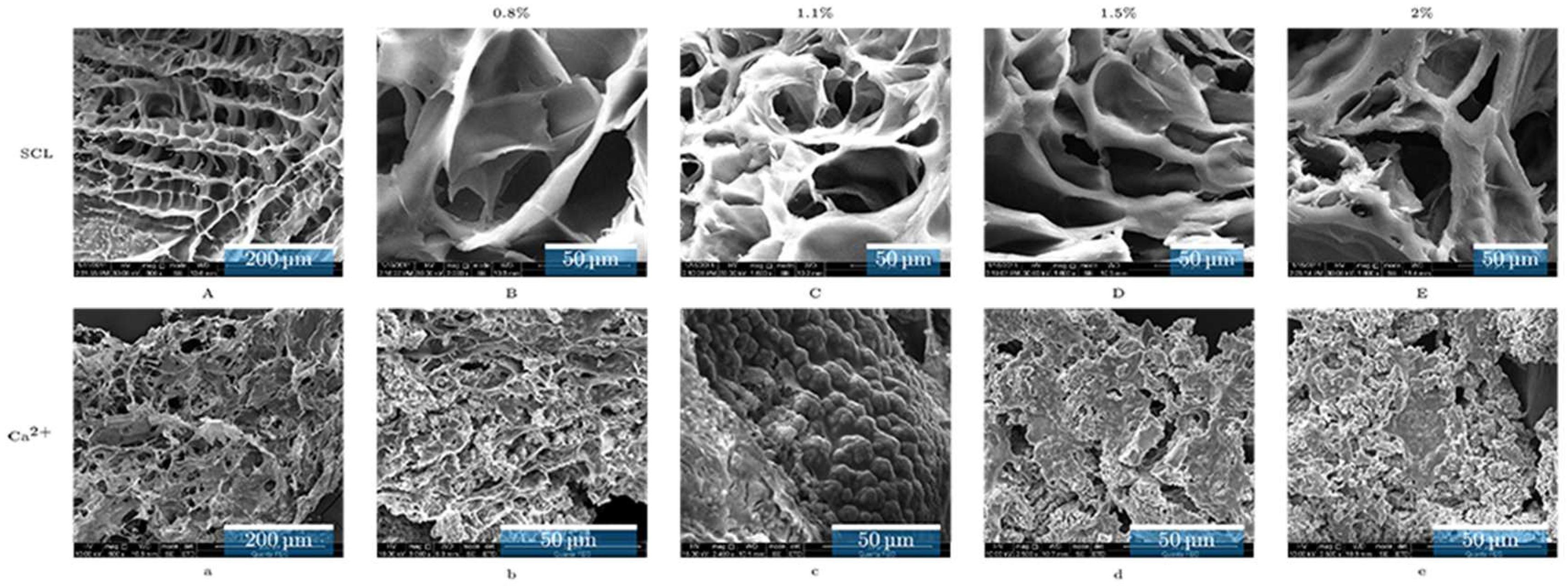 Applsci 07 00252 g001 550