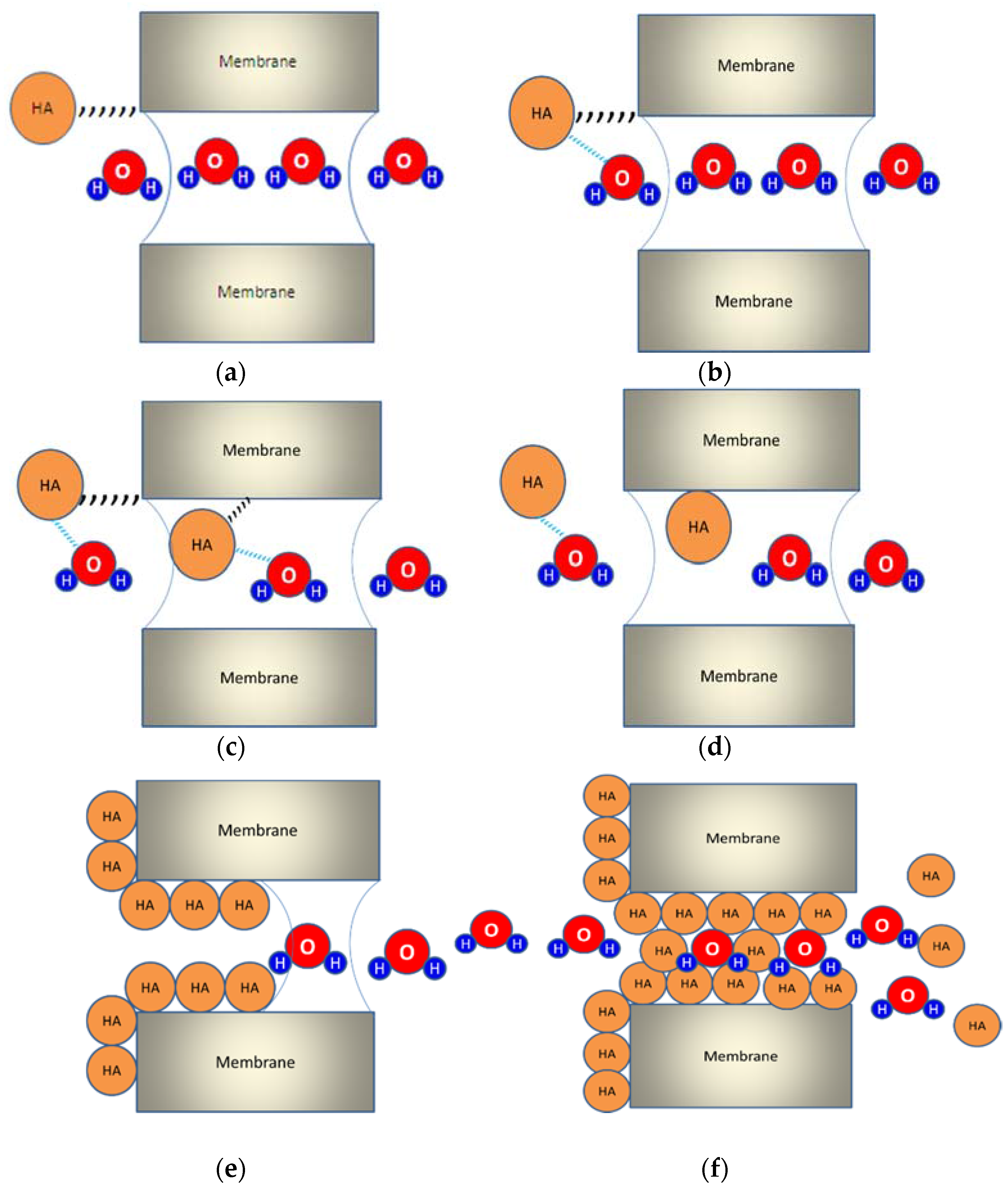 Applsci 07 00334 g001