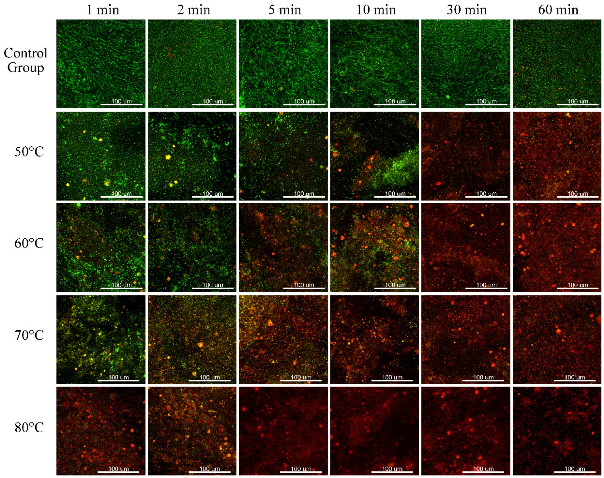 Applsci 07 00343 g007