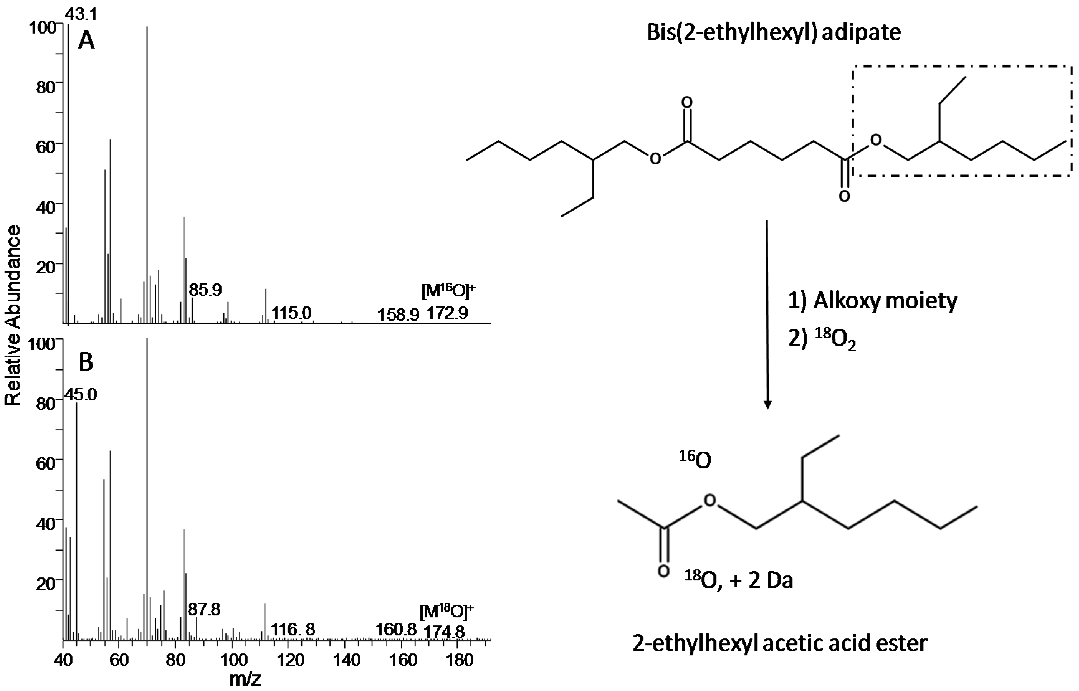 Applied Sciences Free FullText Oxidation Products of EsterBased