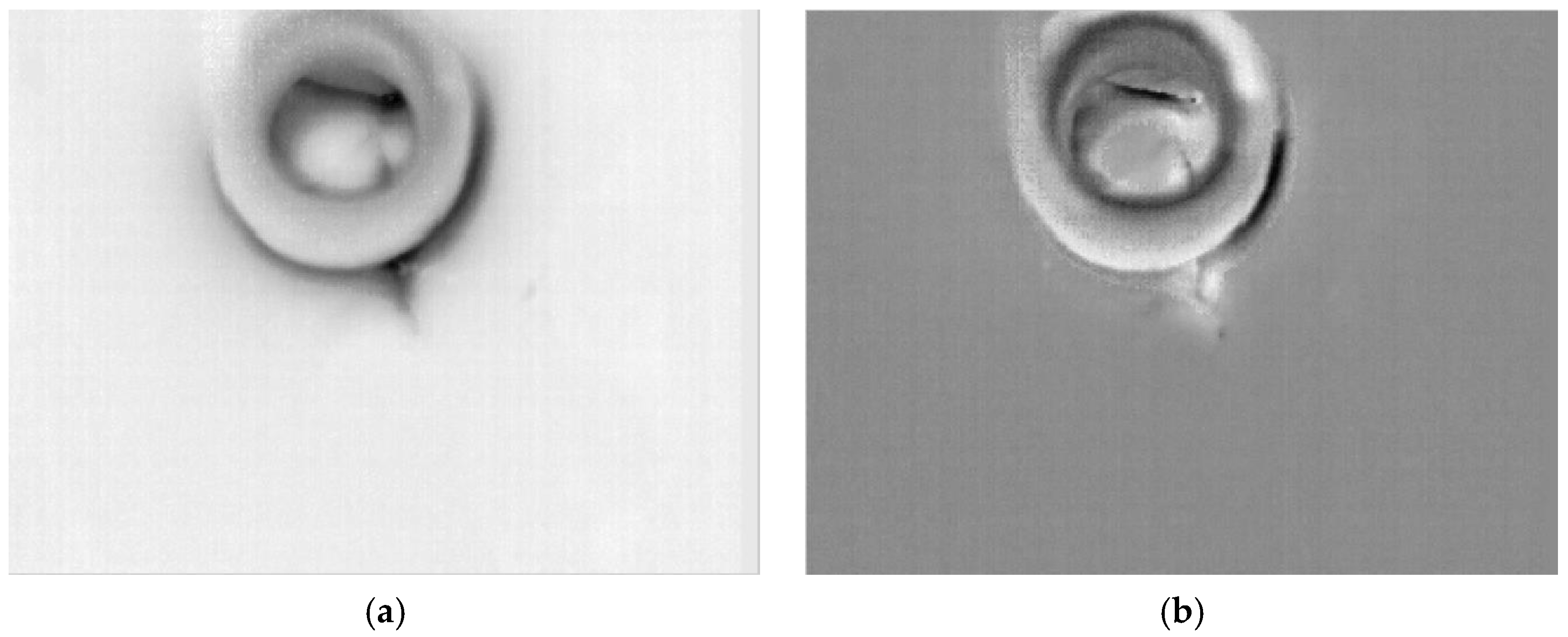 Applsci 07 00429 g008